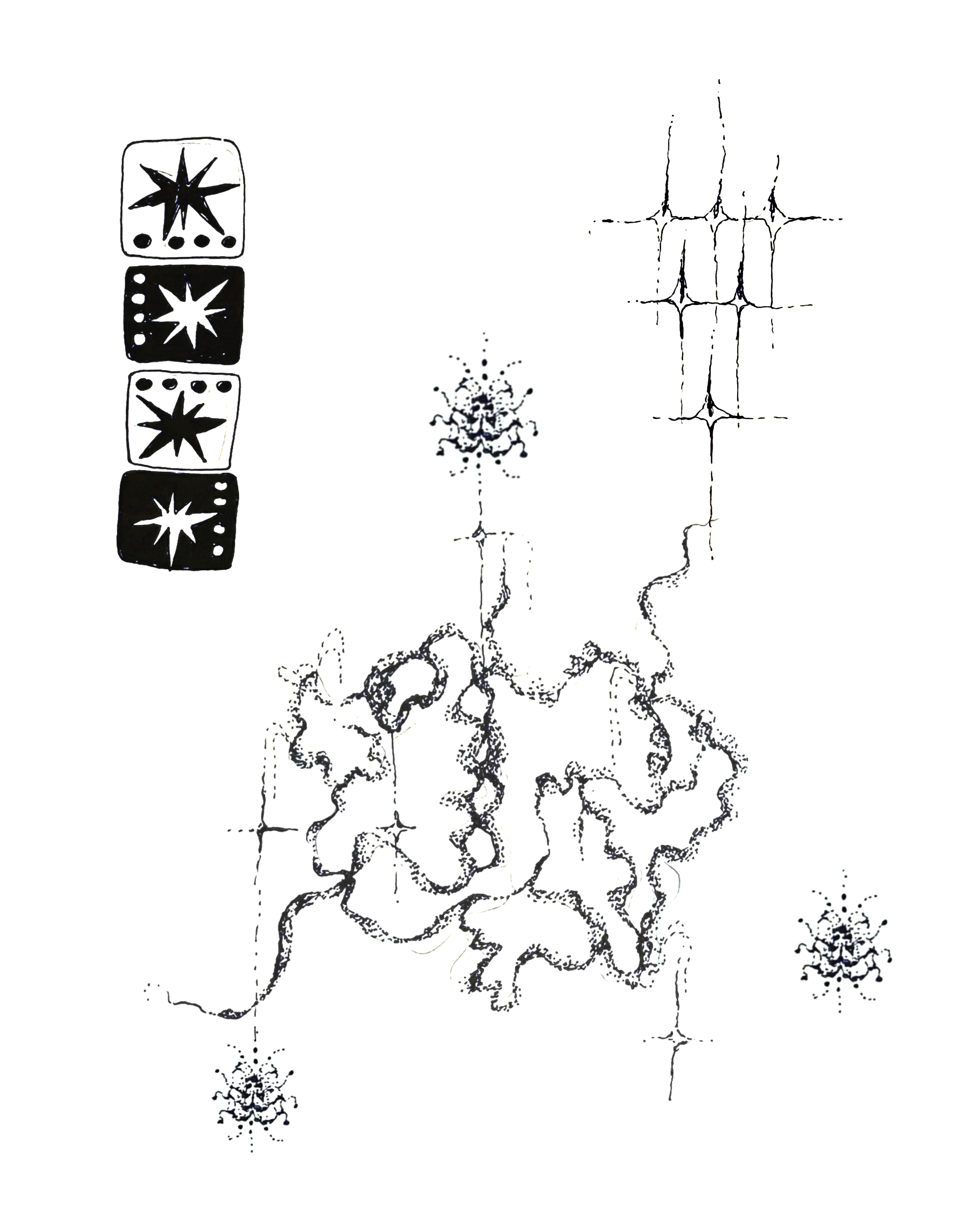 IMG_8266.PNG