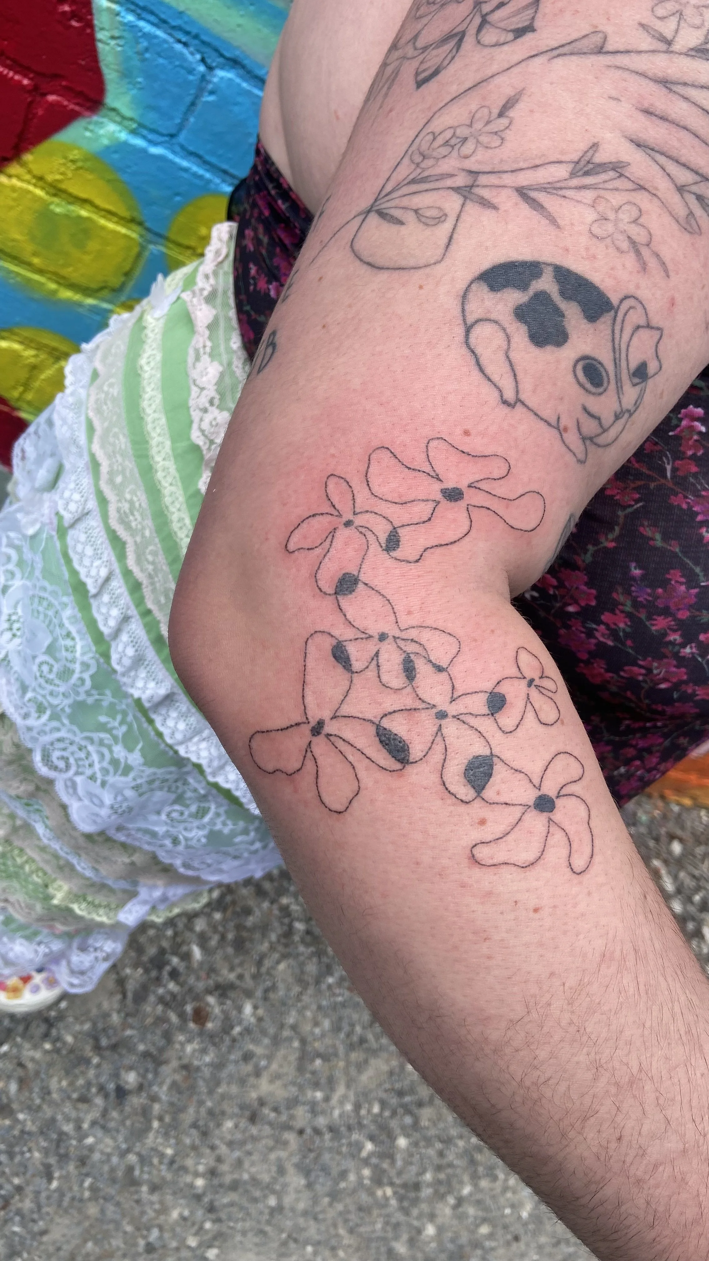 IMG_3610.jpeg