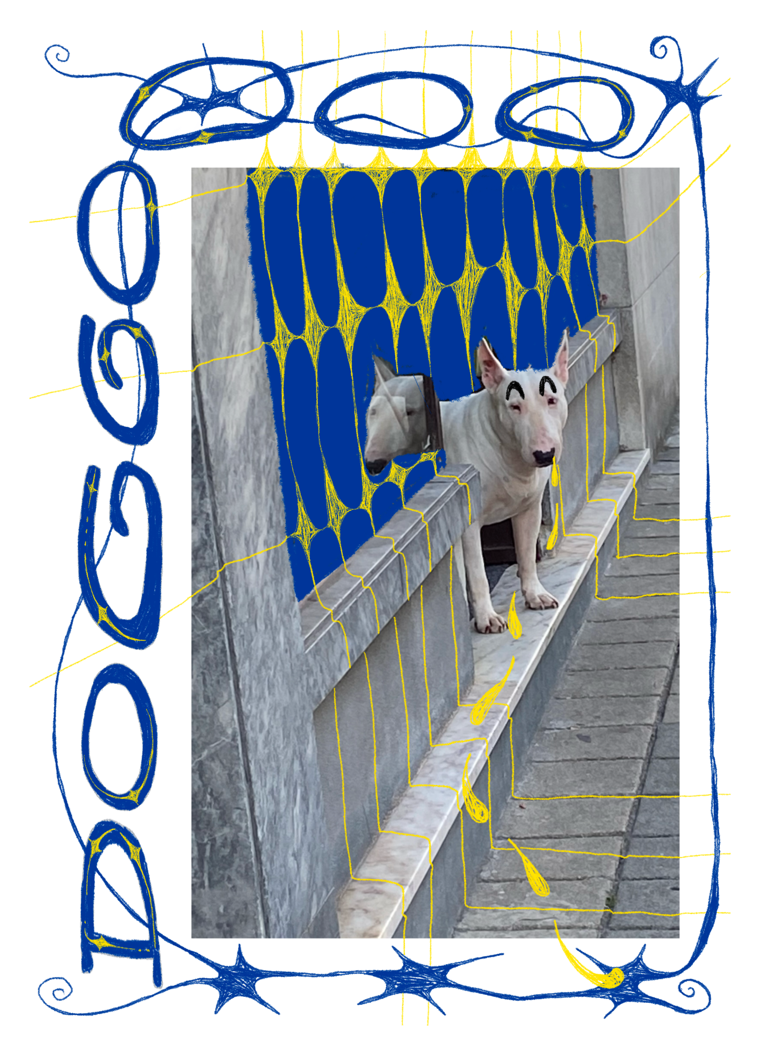 IMG_9750.PNG