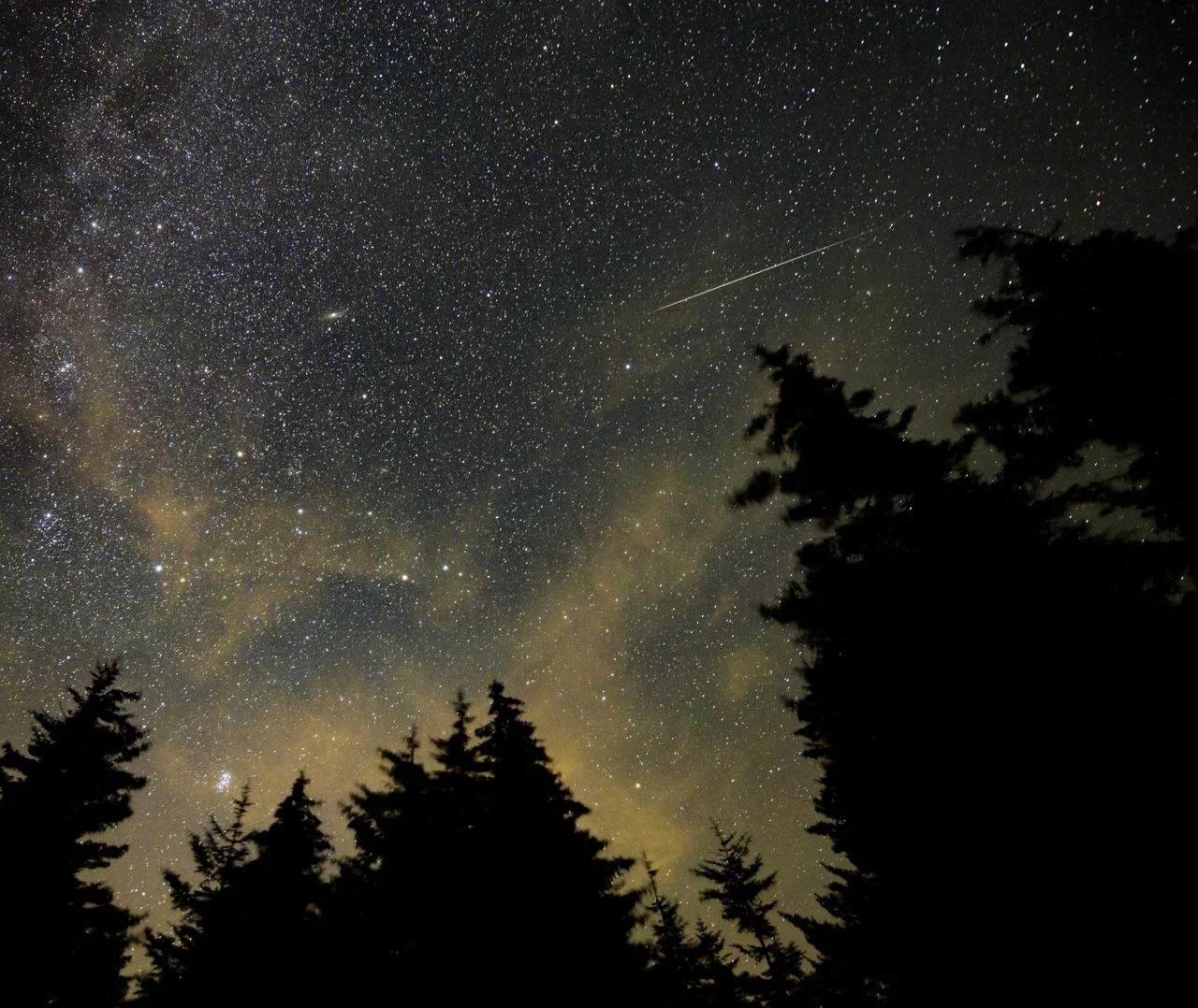 Delta Aquarids Meteor Shower Peak