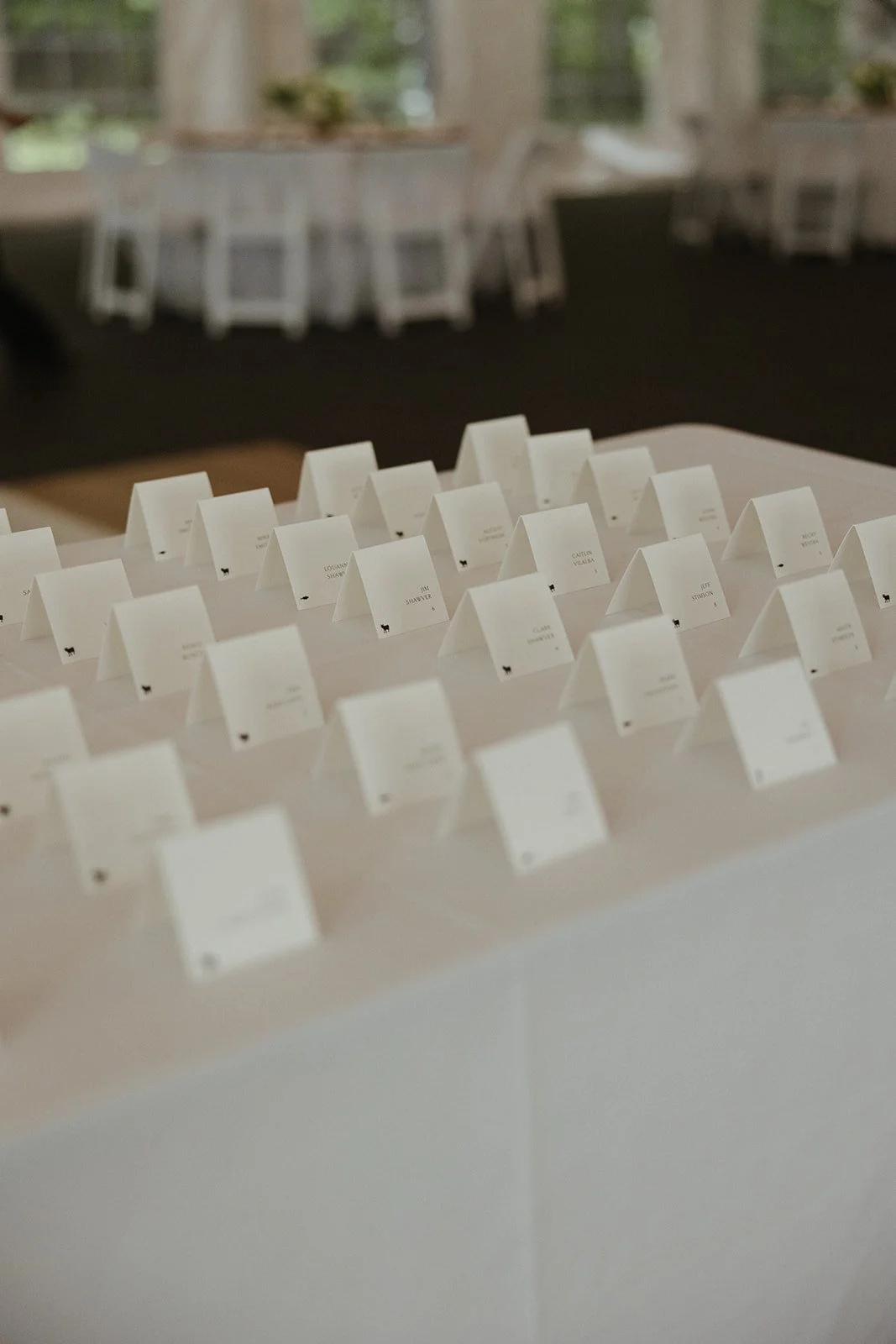 Place cards on a table at an event, with names printed on each card, arranged in neat rows.