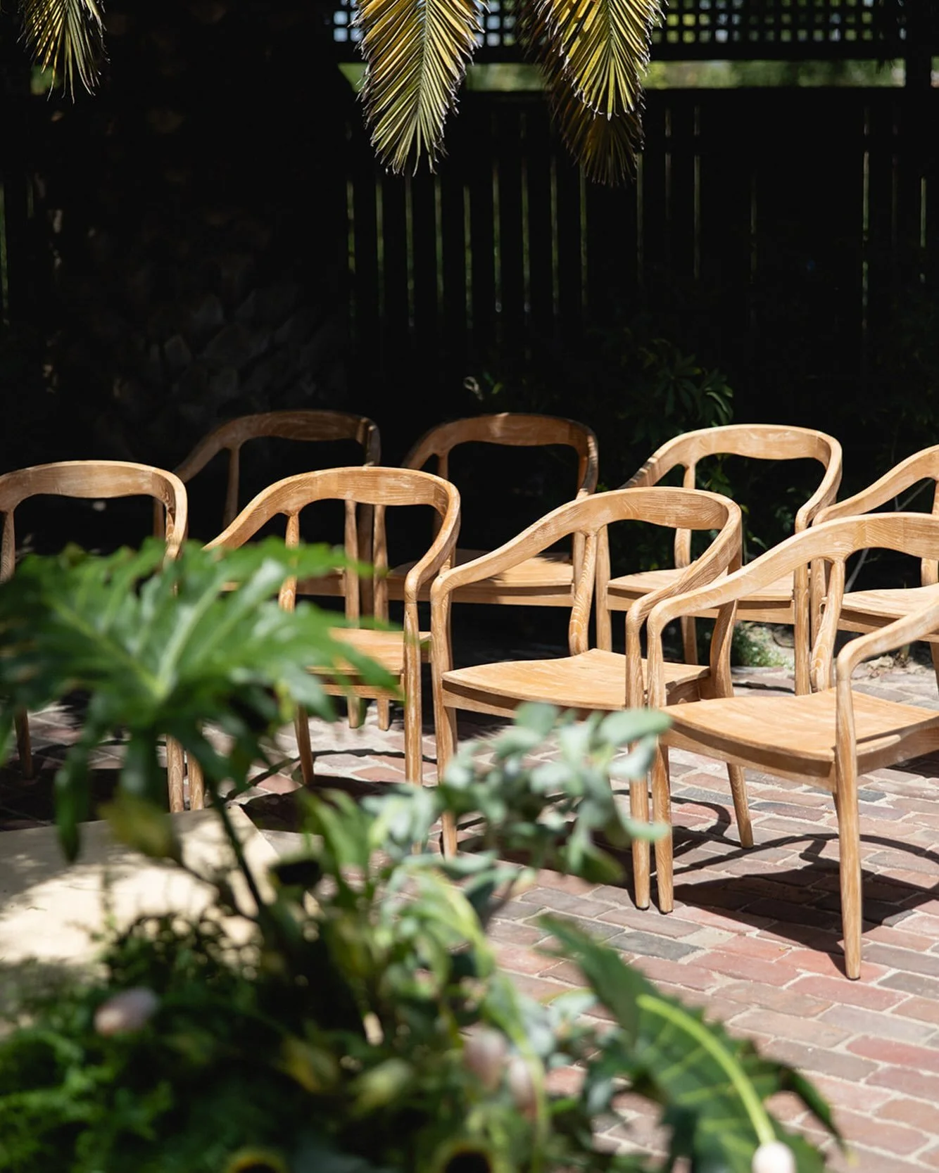 Lara Chairs 🌿