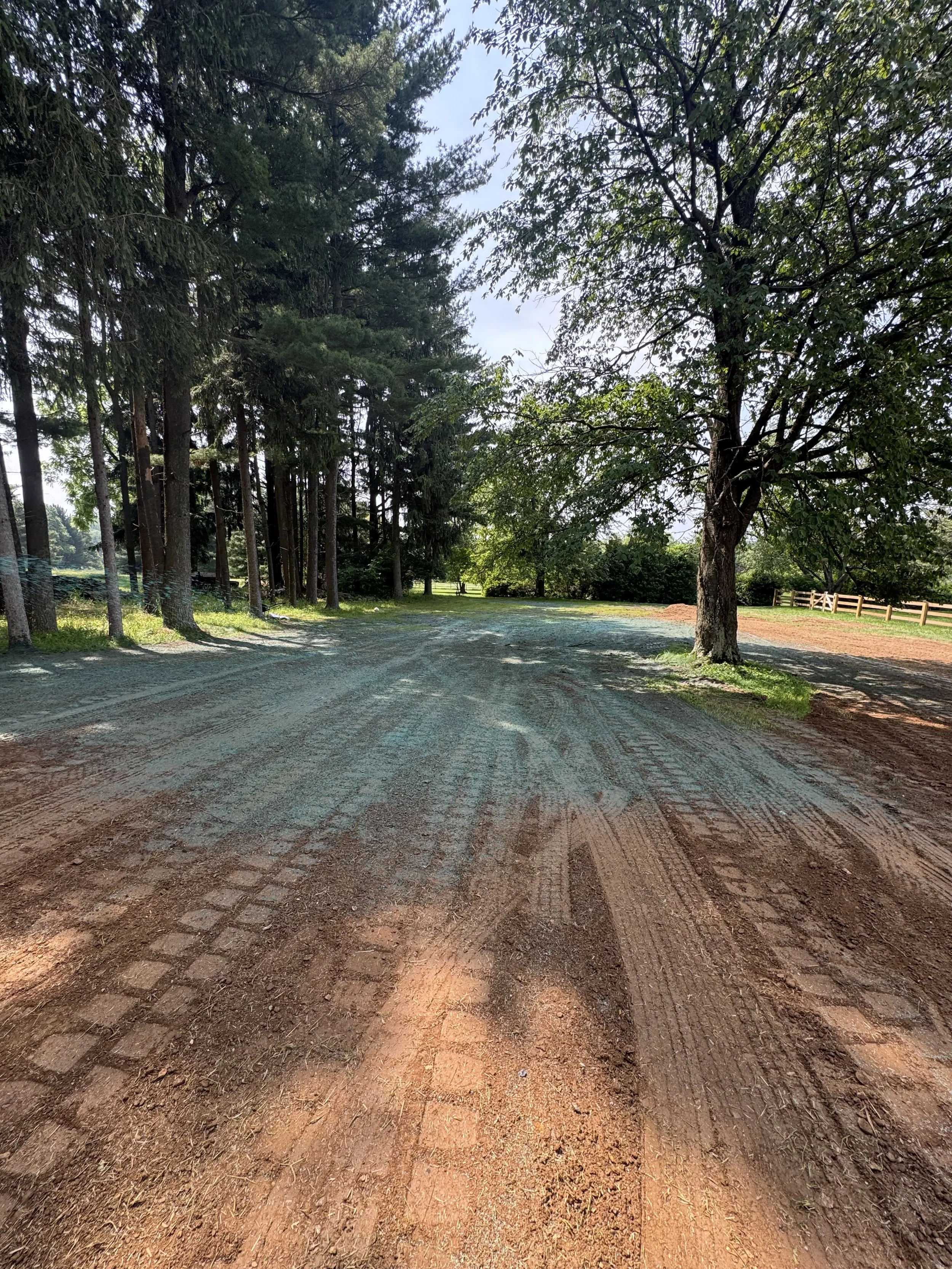 A dirt road with tire tracks, bordered by green grass and trees on both sides, under a partly cloudy sky.
