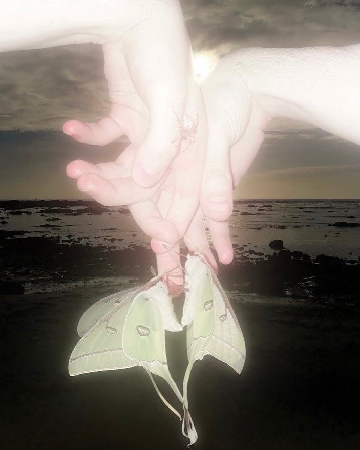 mothspiracy: once you see the theme of our latest collection is moths, you will inevitably see them everywhere. Swipe for conspiracy proof - the only remedy is to shop an item from our Moths collection through link in bio 

First photo @femalepentime