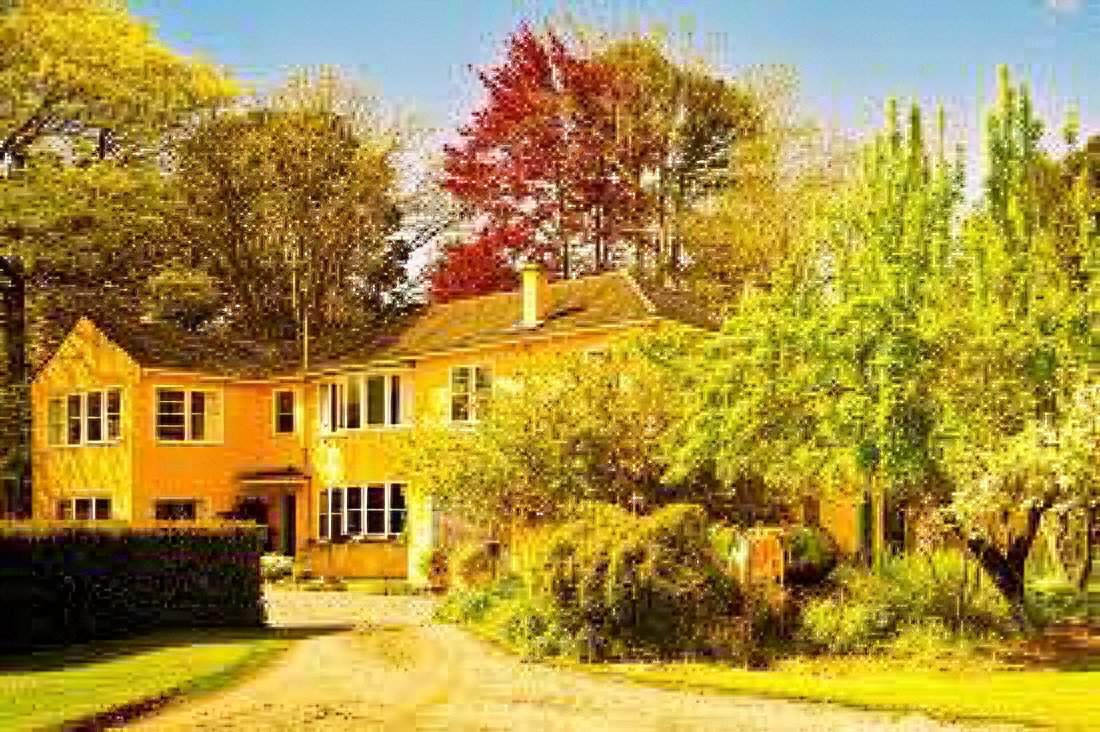 A yellow house surrounded by greenery, trees, and a driveway with a clear blue sky overhead.