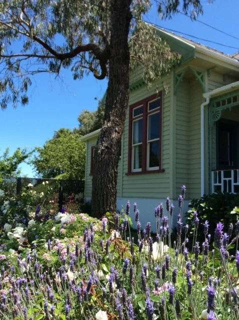 Lavender House.JPG