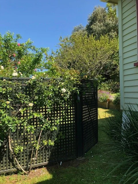 Rose trellis.jpeg