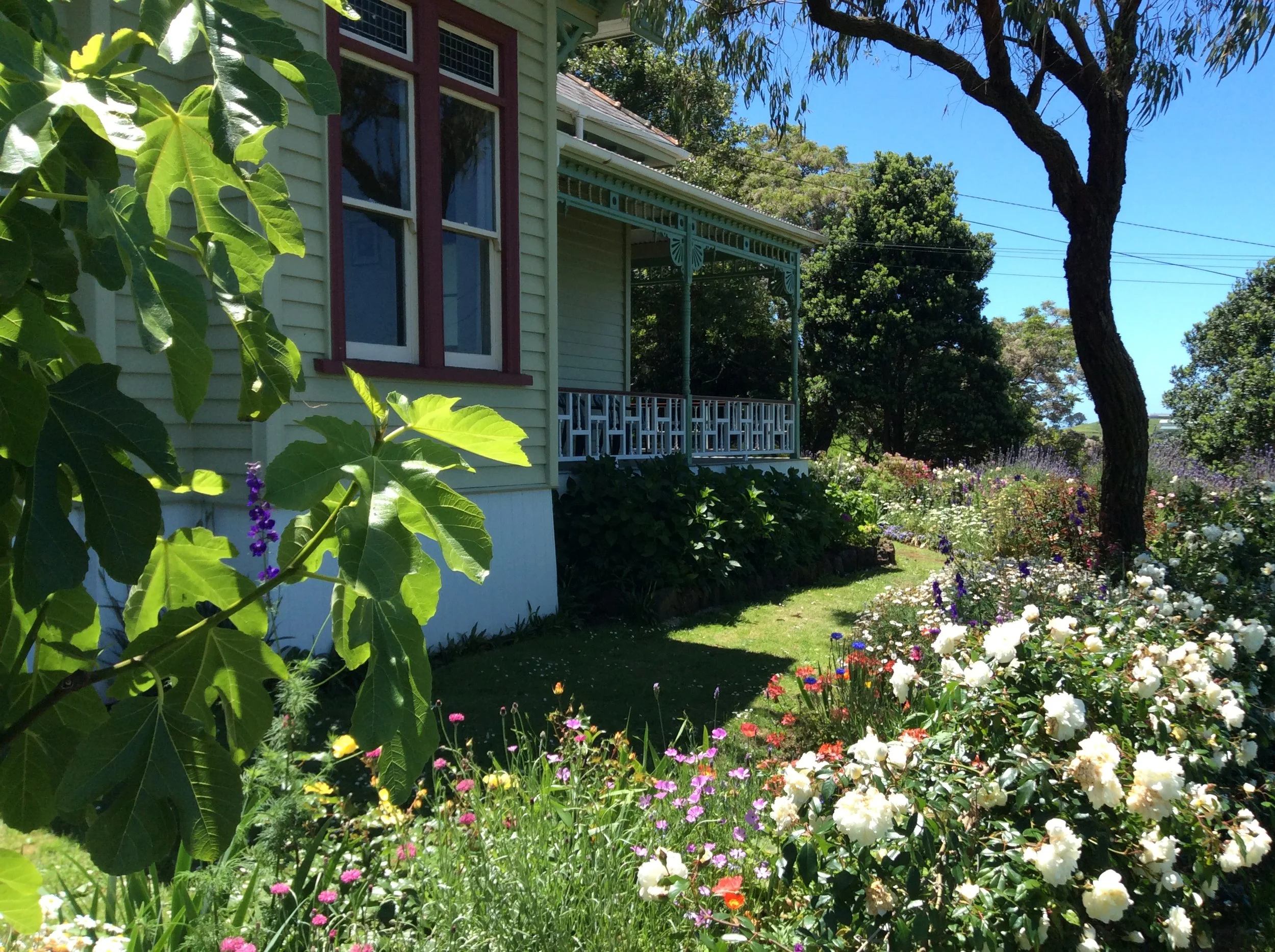 MKWC summer garden.JPG