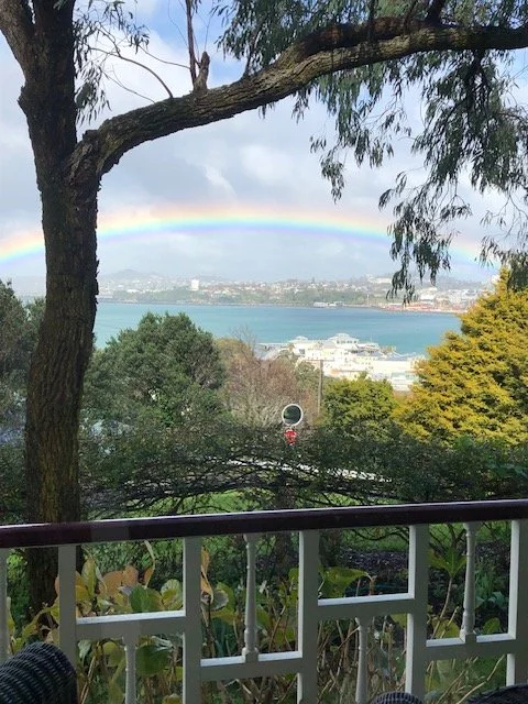 view from verandah.jpeg