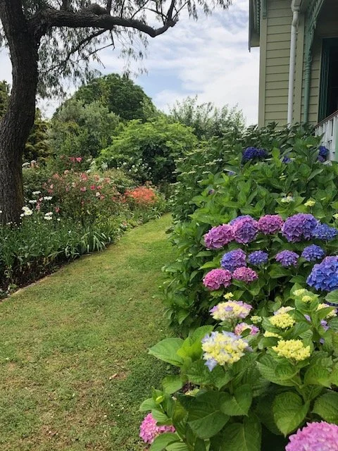 Garden vista.jpeg
