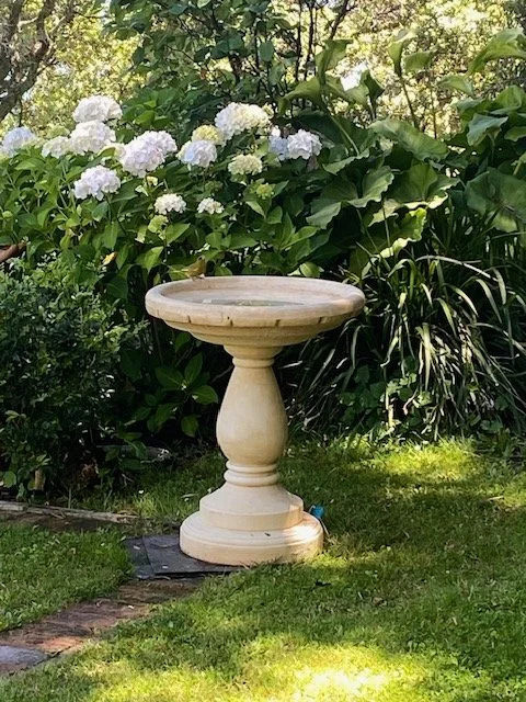 Birdbath.jpeg