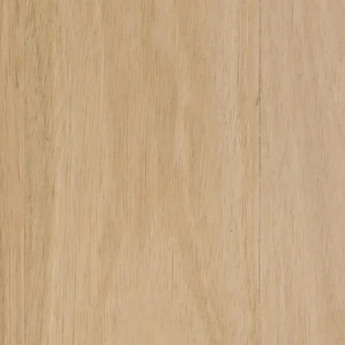 Chestnut
