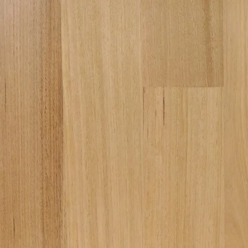 Tasmanian Oak