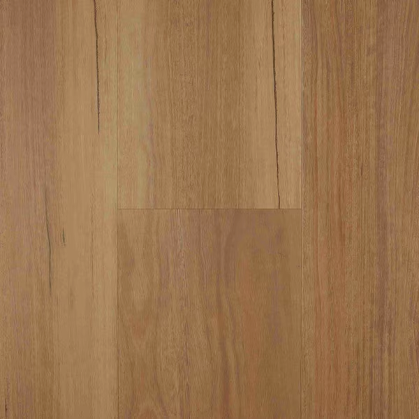 Classic Spotted Gum
