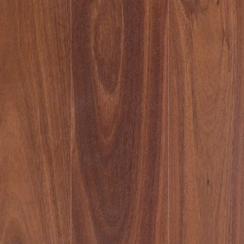 Jarrah