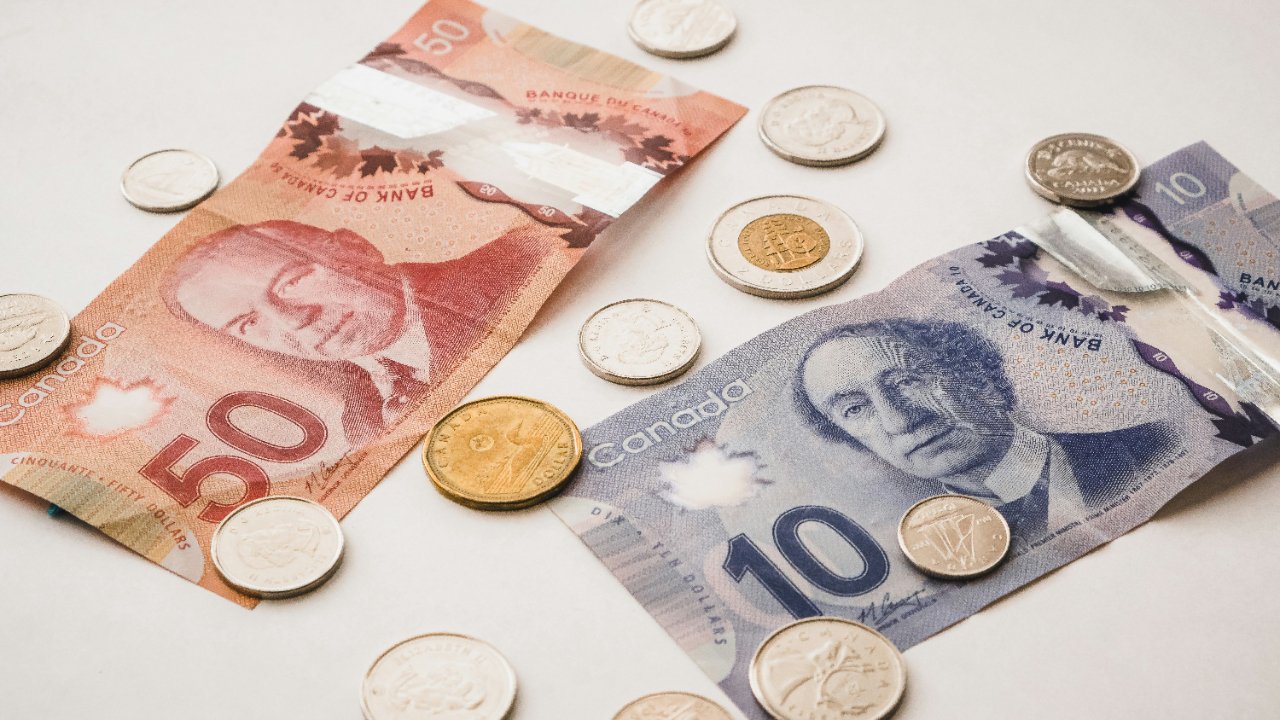 Bookkeeping Basics: Understanding Equity