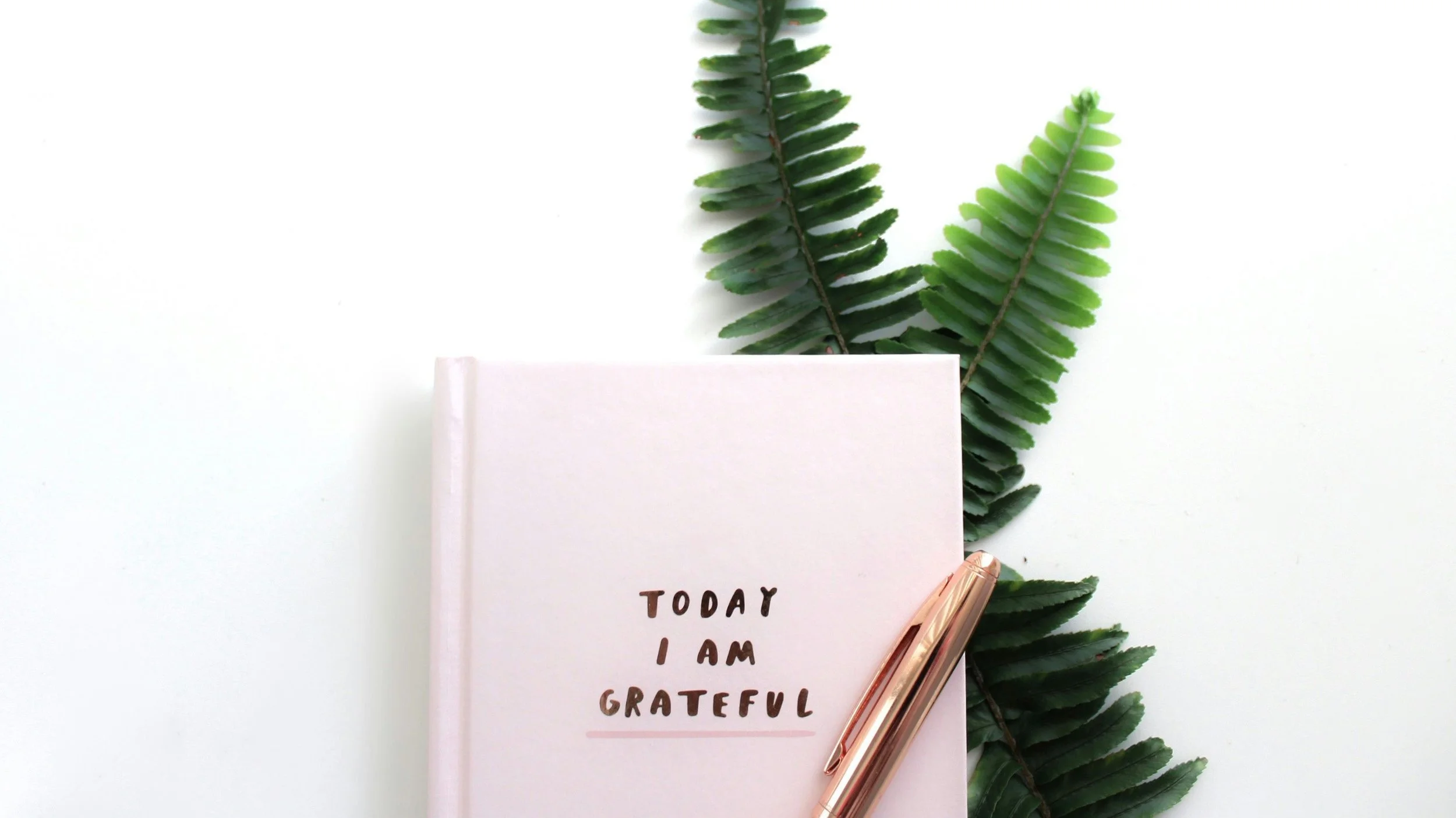 Gratitude