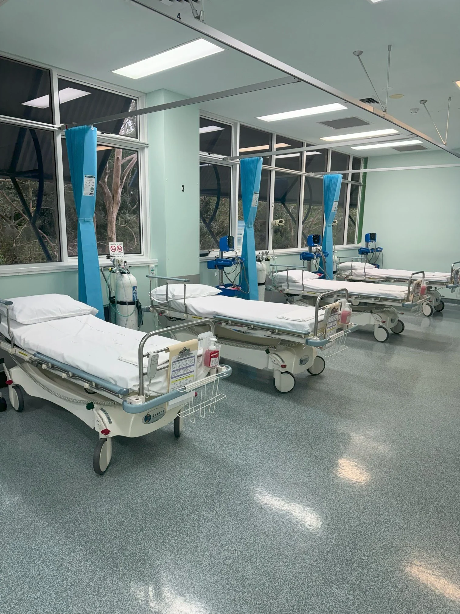 An empty hospital ward with multiple hospital beds and blue privacy curtains, large windows with trees outside, and overhead fluorescent lighting.