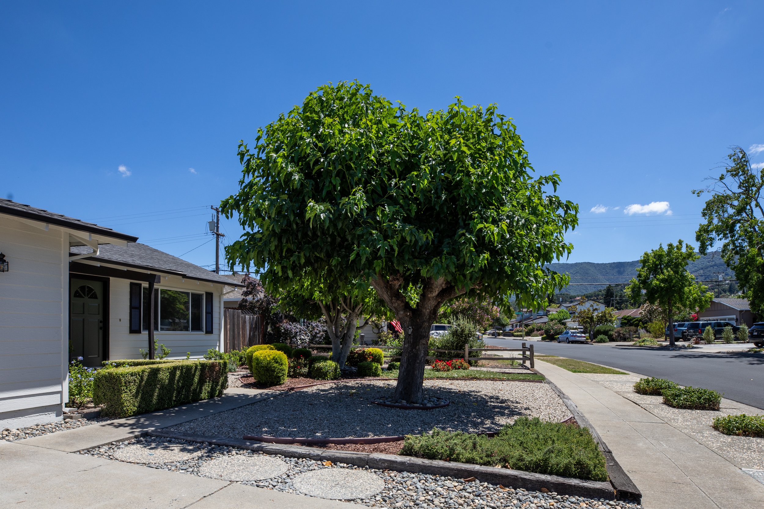 2-Rudy_Matt_Anello-5526-MLS.jpg