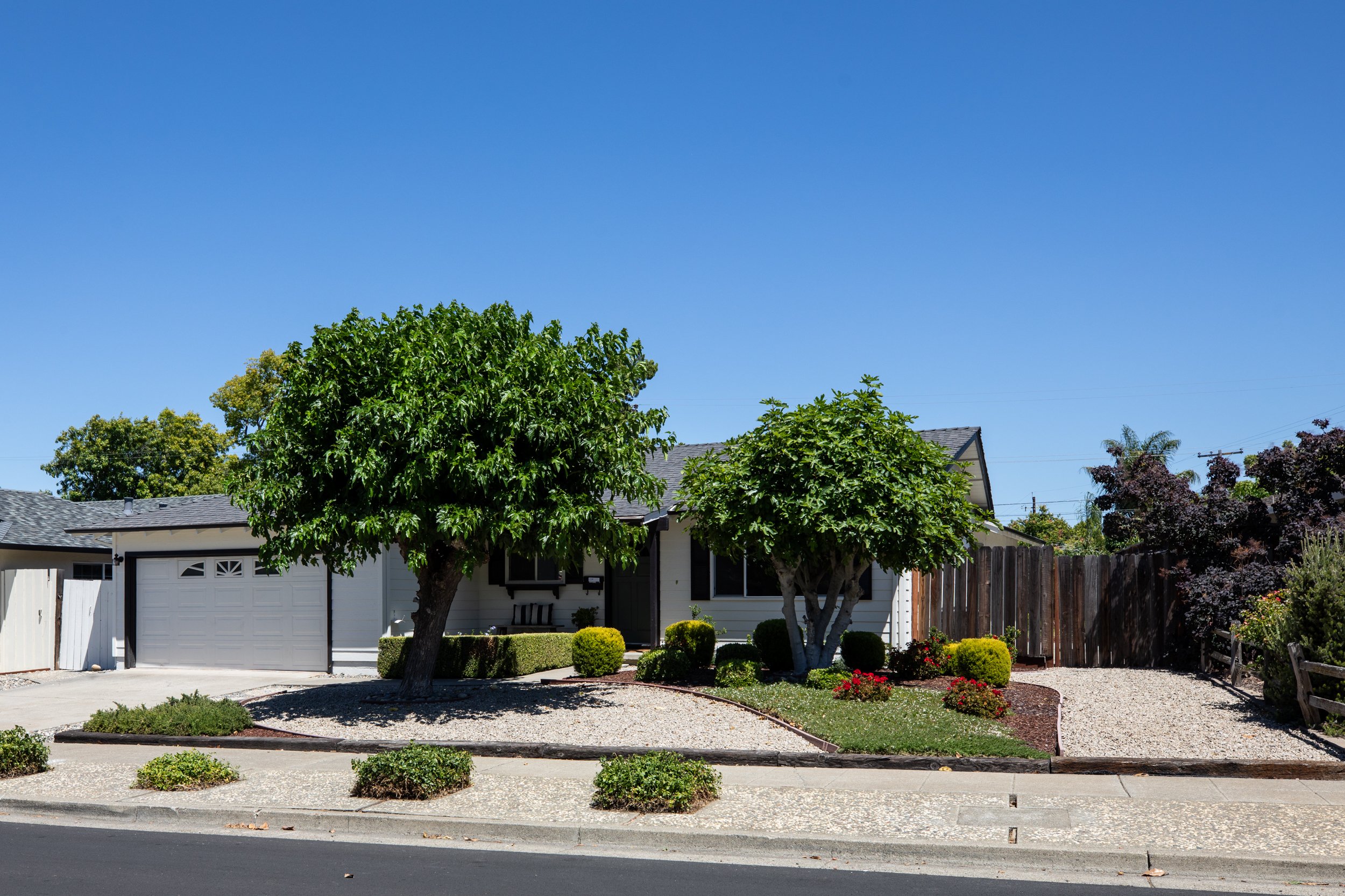 3-Rudy_Matt_Anello-5522-MLS.jpg