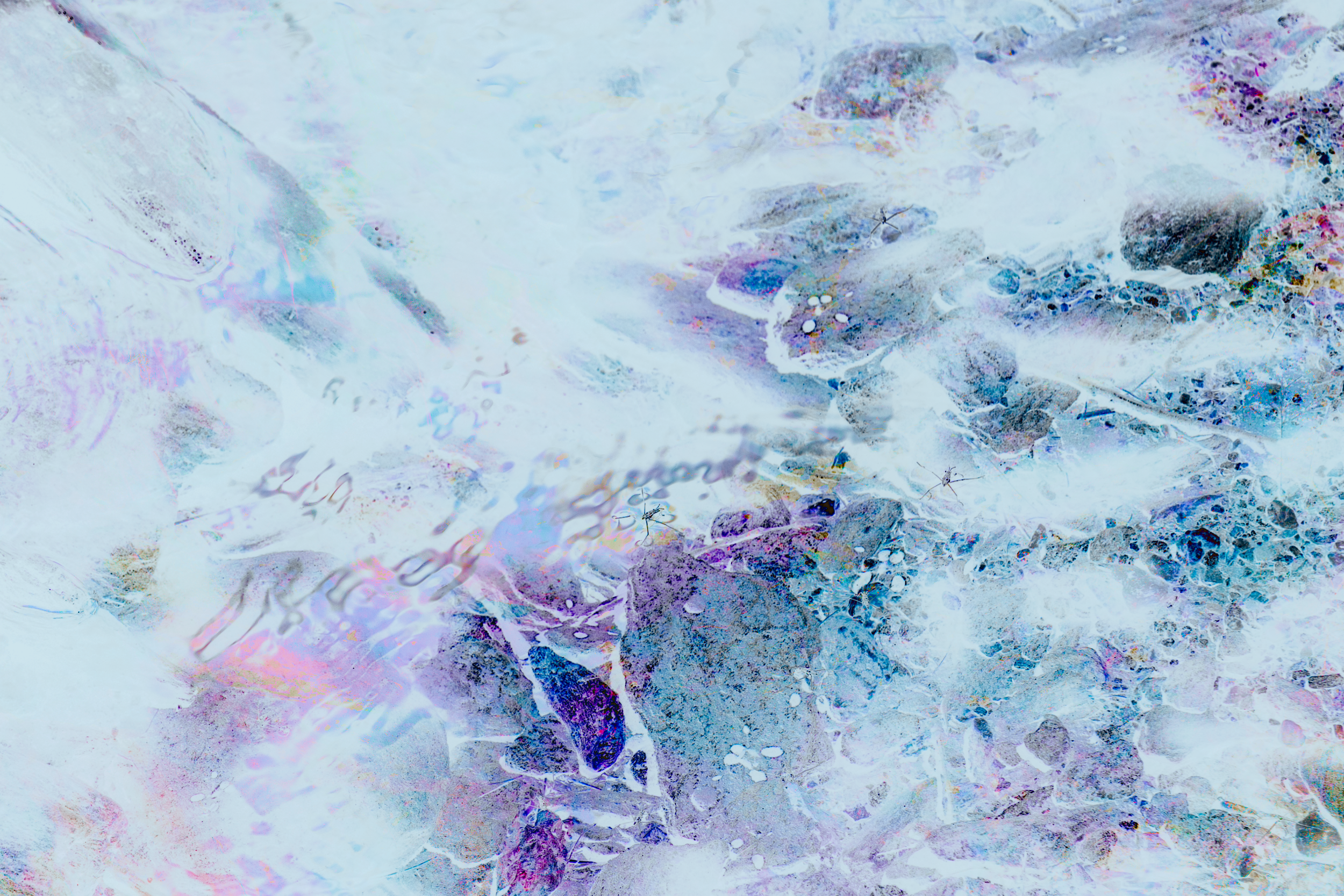DSC07262.png