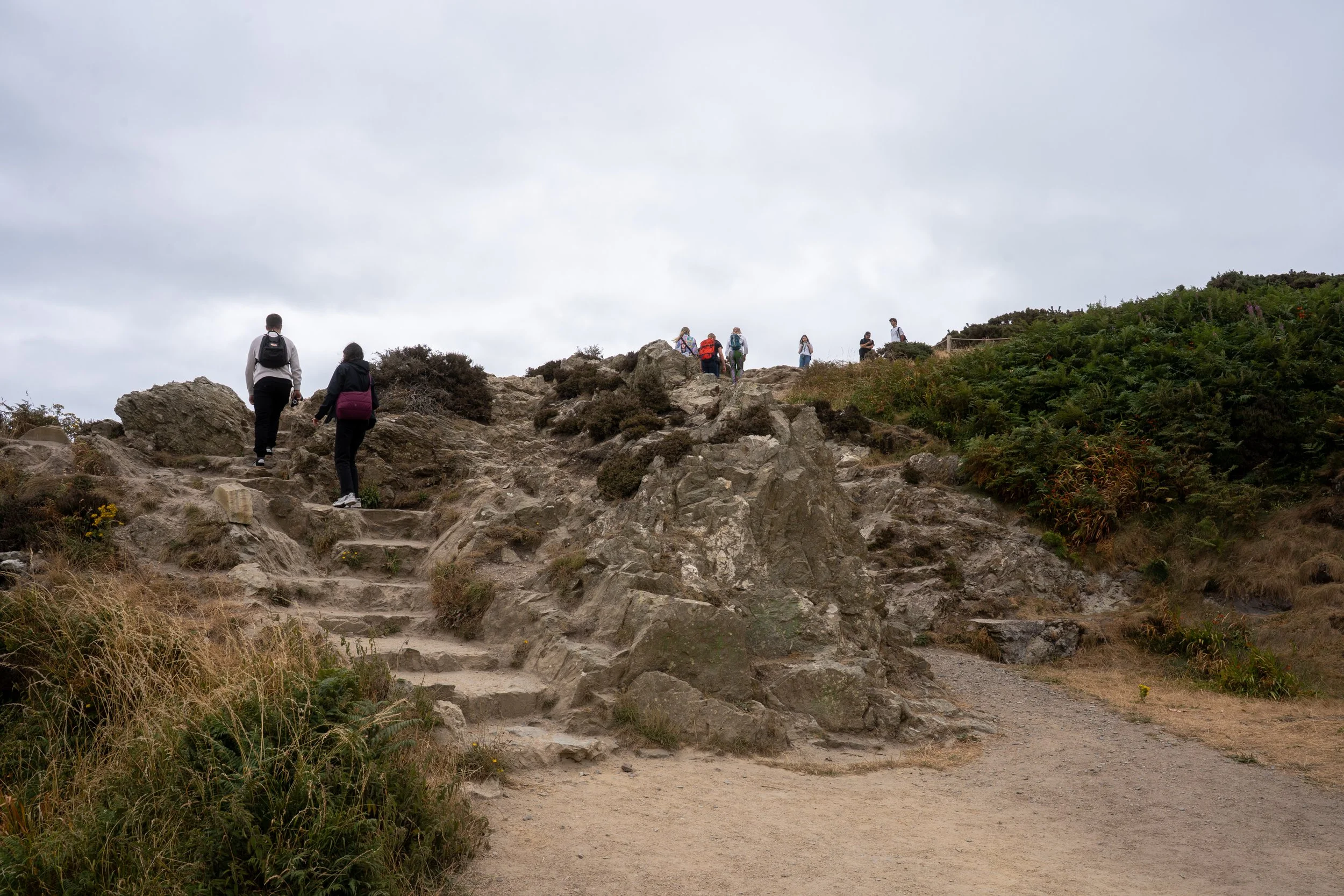 DSC07398.jpg