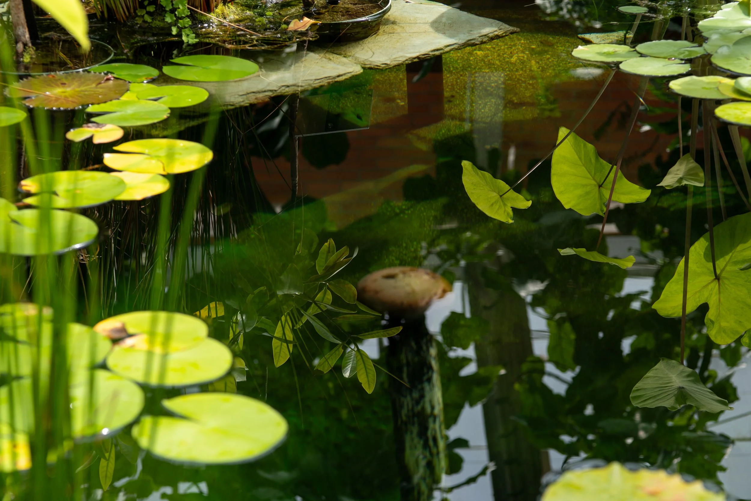 DSC07786.jpg