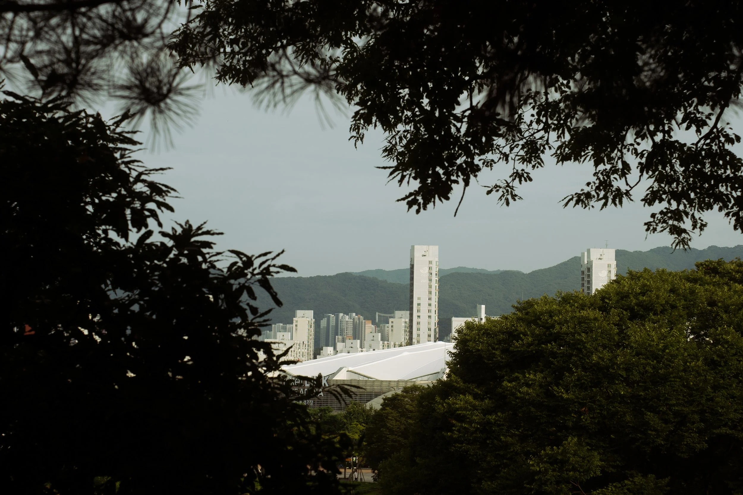 DSC02638.jpg