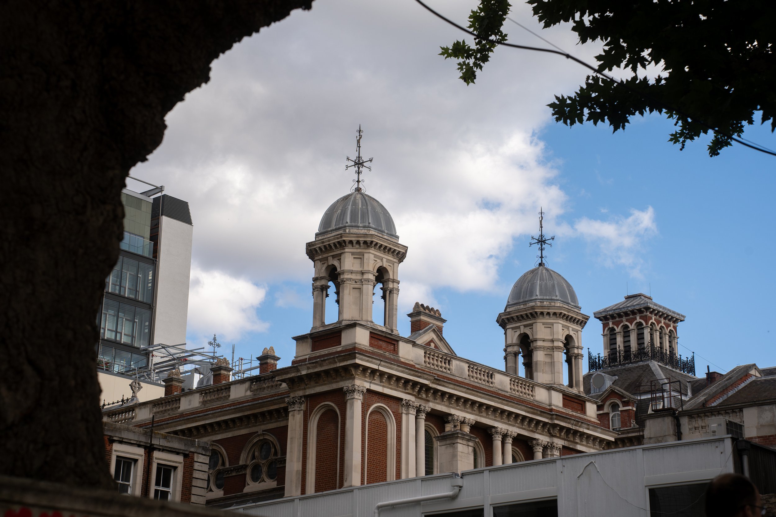 DSC07489.jpg
