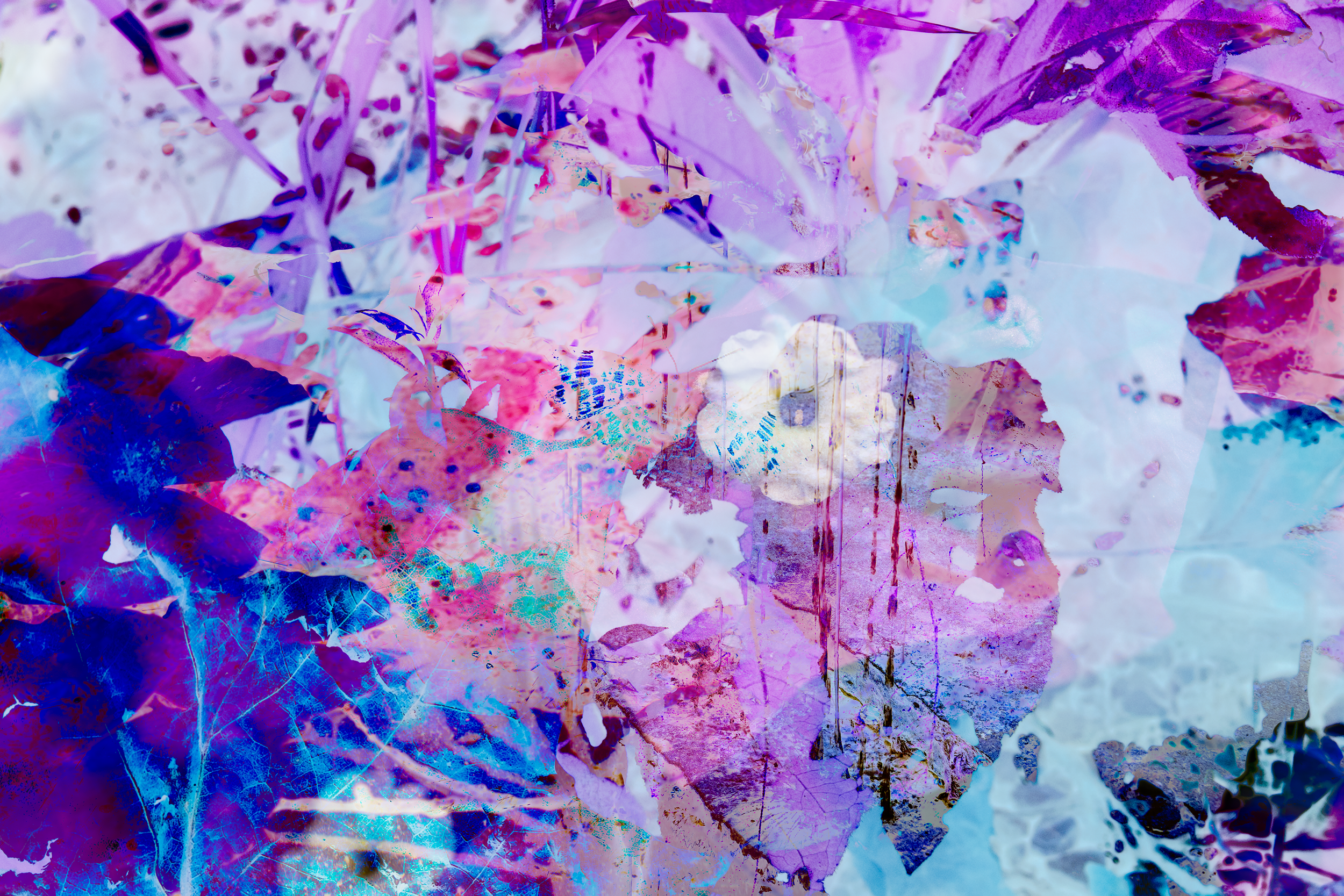 DSC07744.png