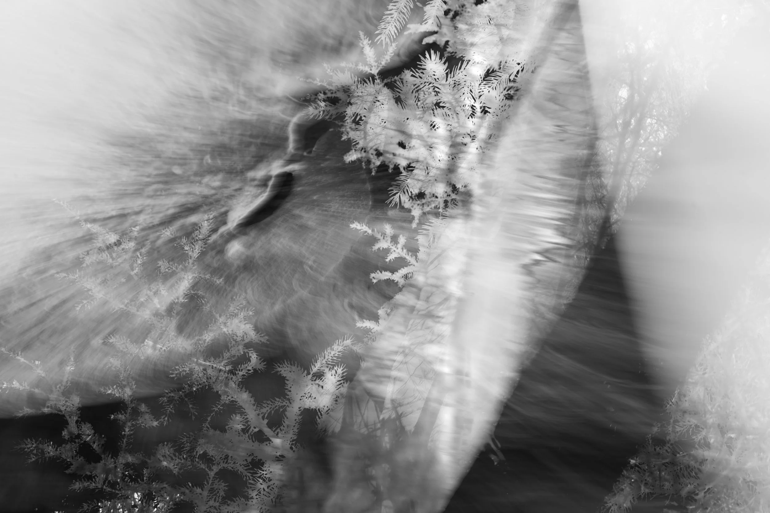DSC05303-Edit.jpg