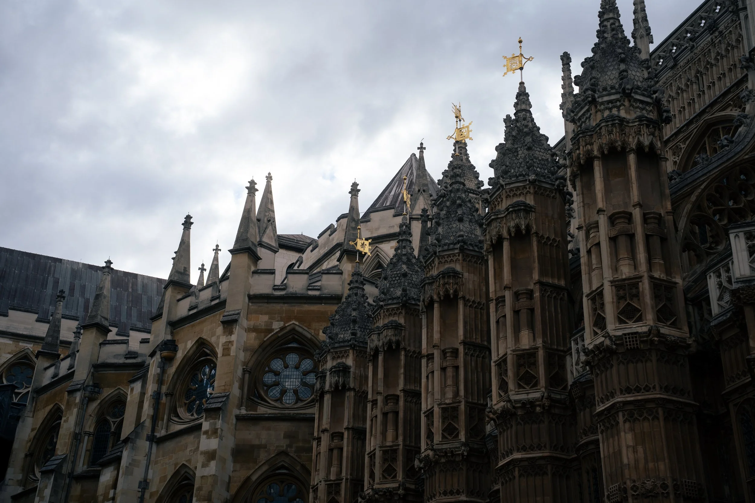 DSC07497.jpg