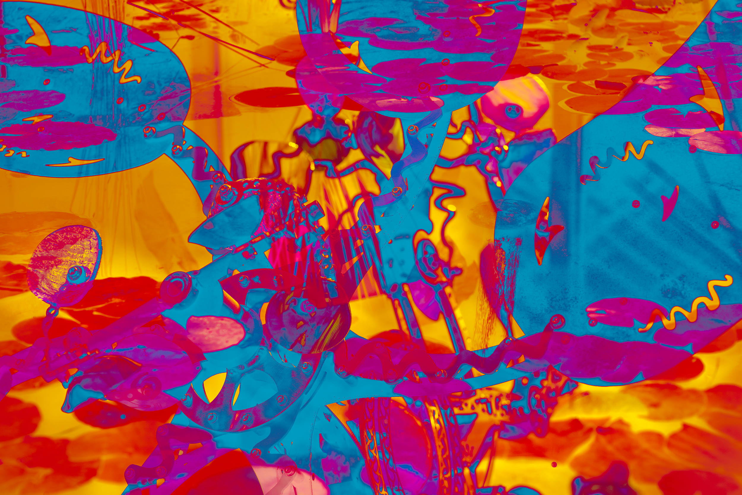 DSC07755.png