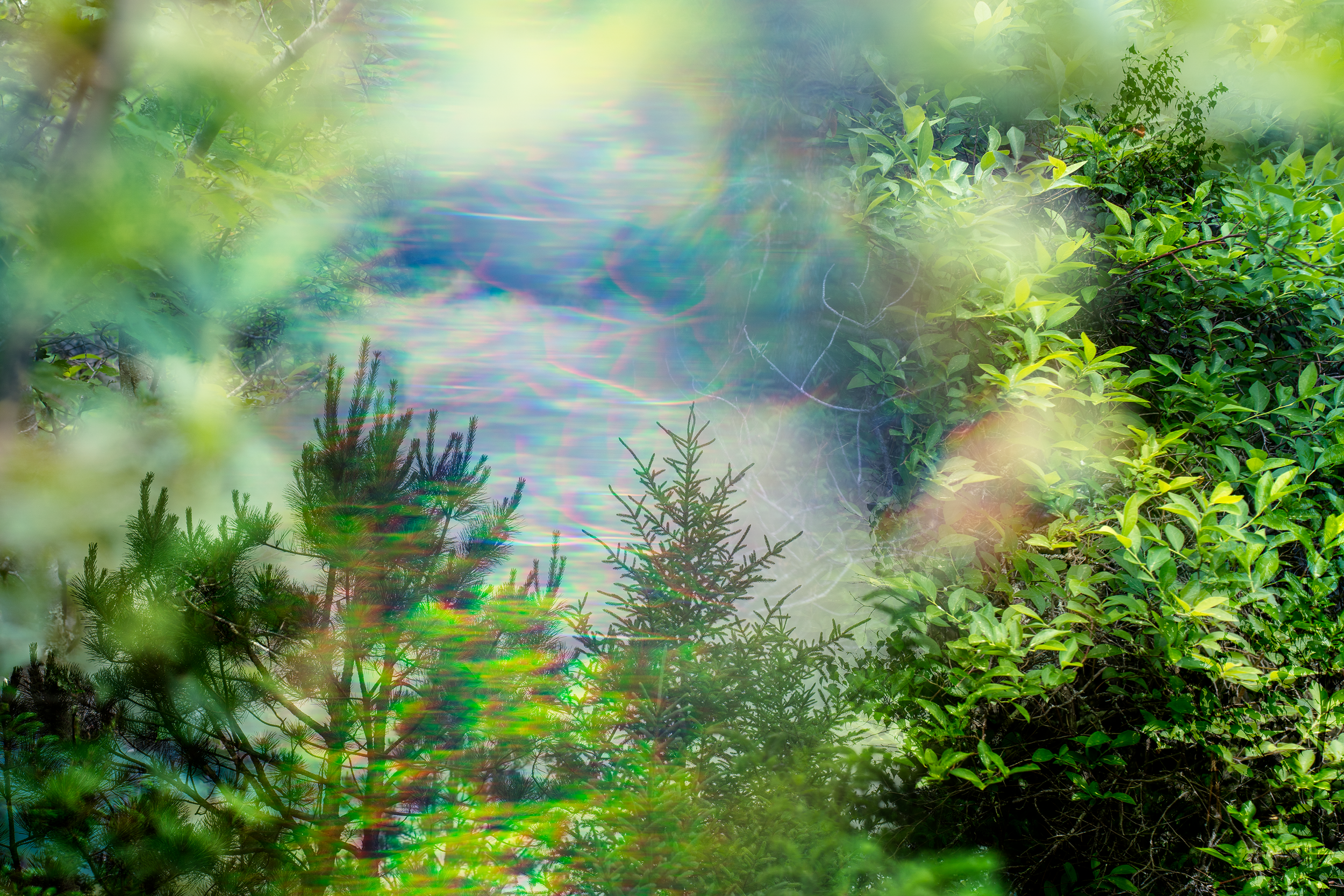 DSC06869.png