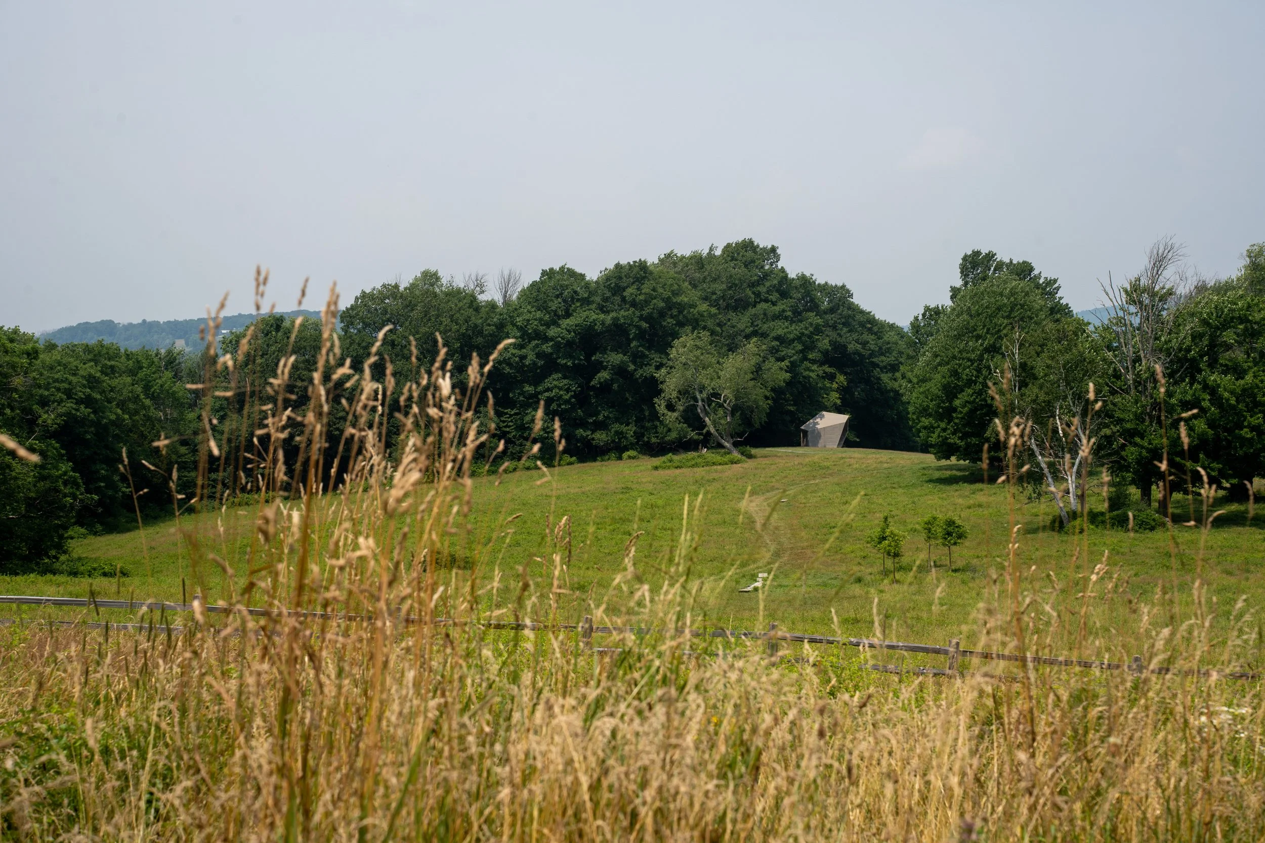 DSC07152.jpg