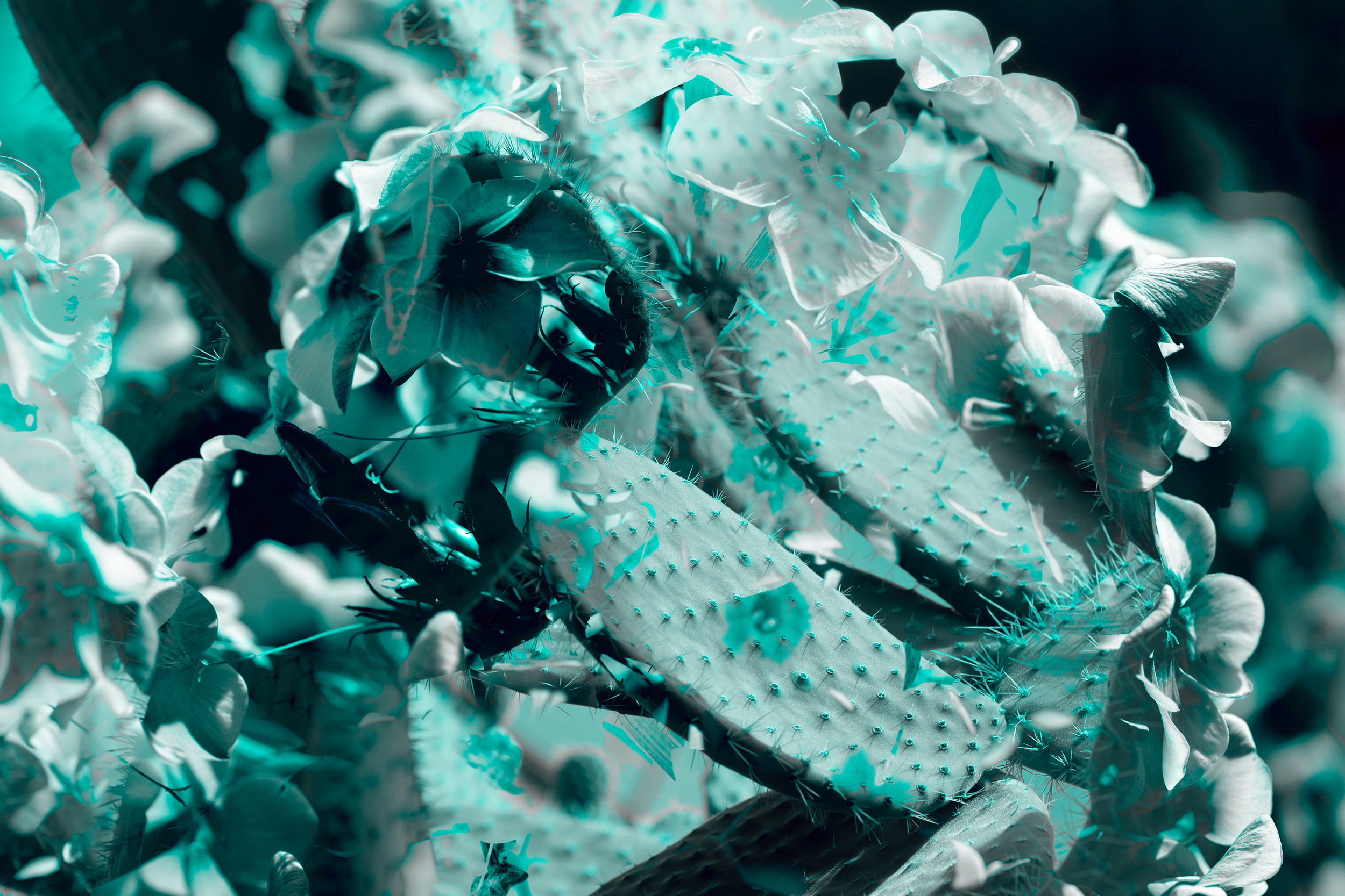 DSC07766.png