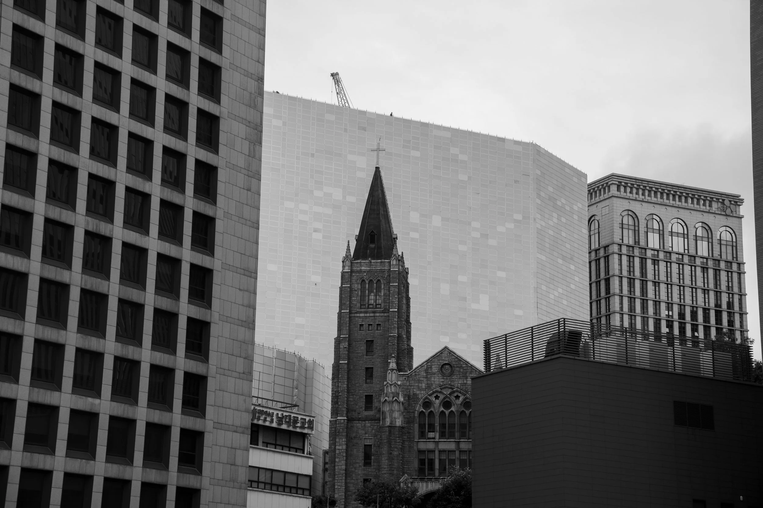 DSC02809.jpg
