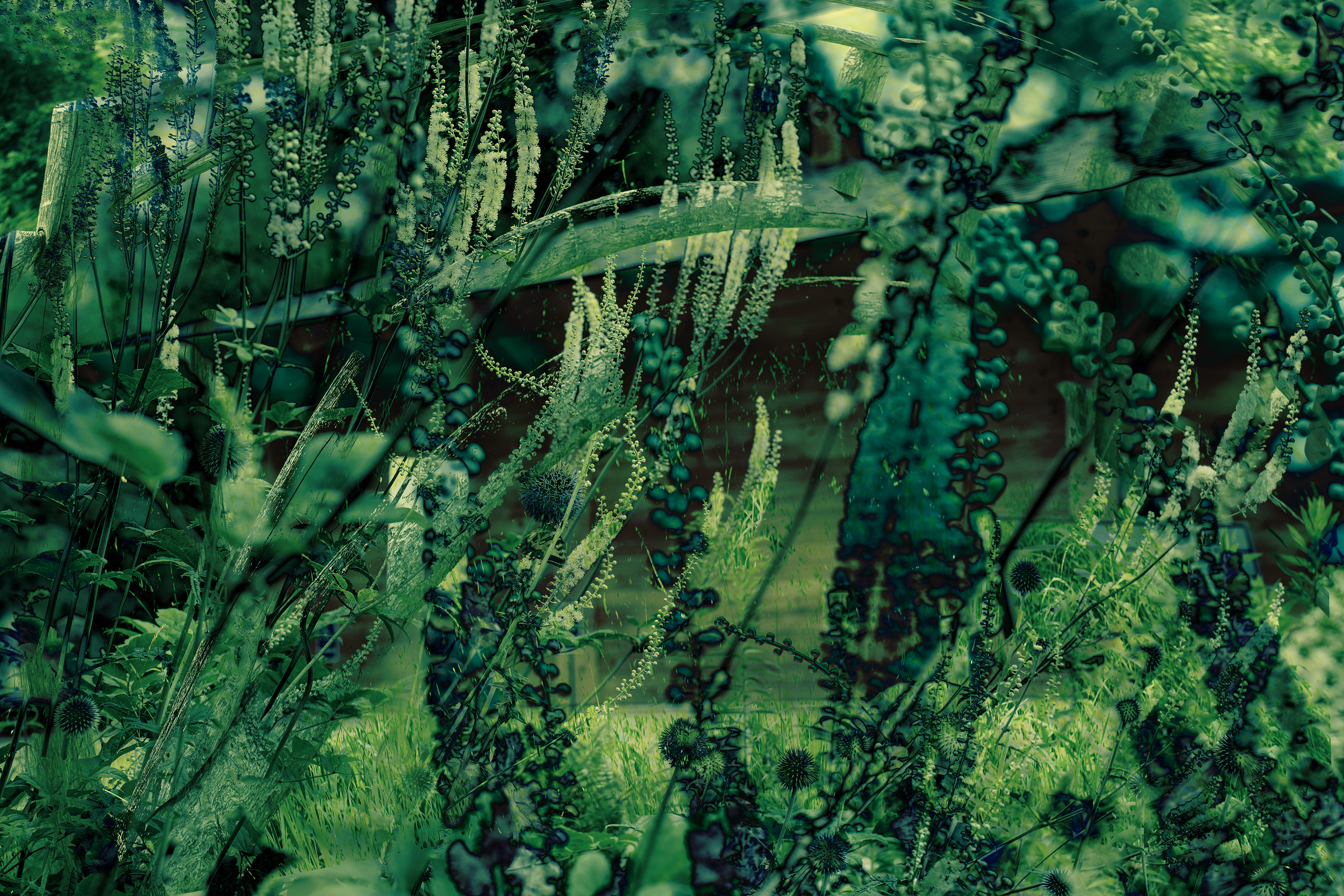DSC07060 copy.png
