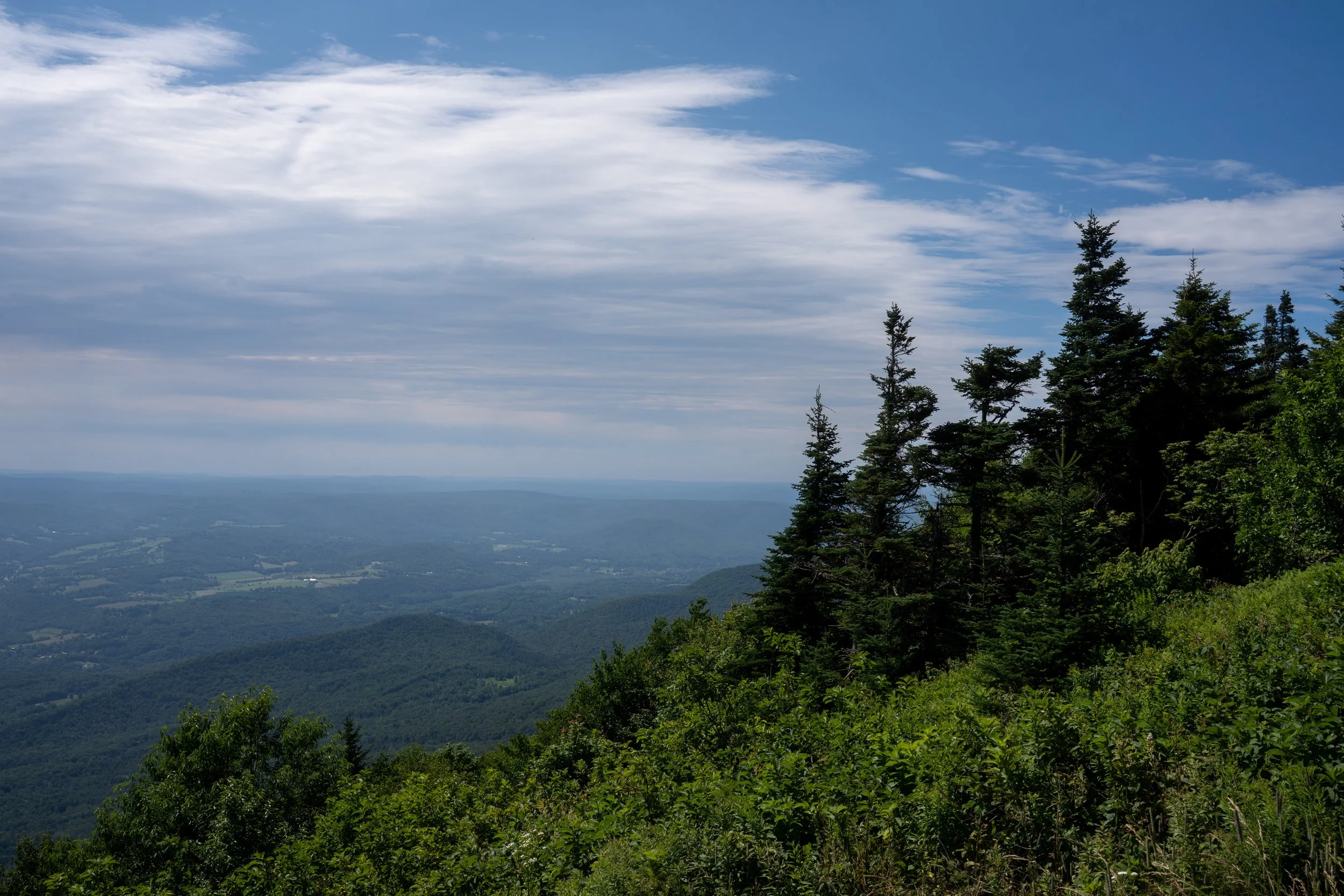 DSC07210.jpg