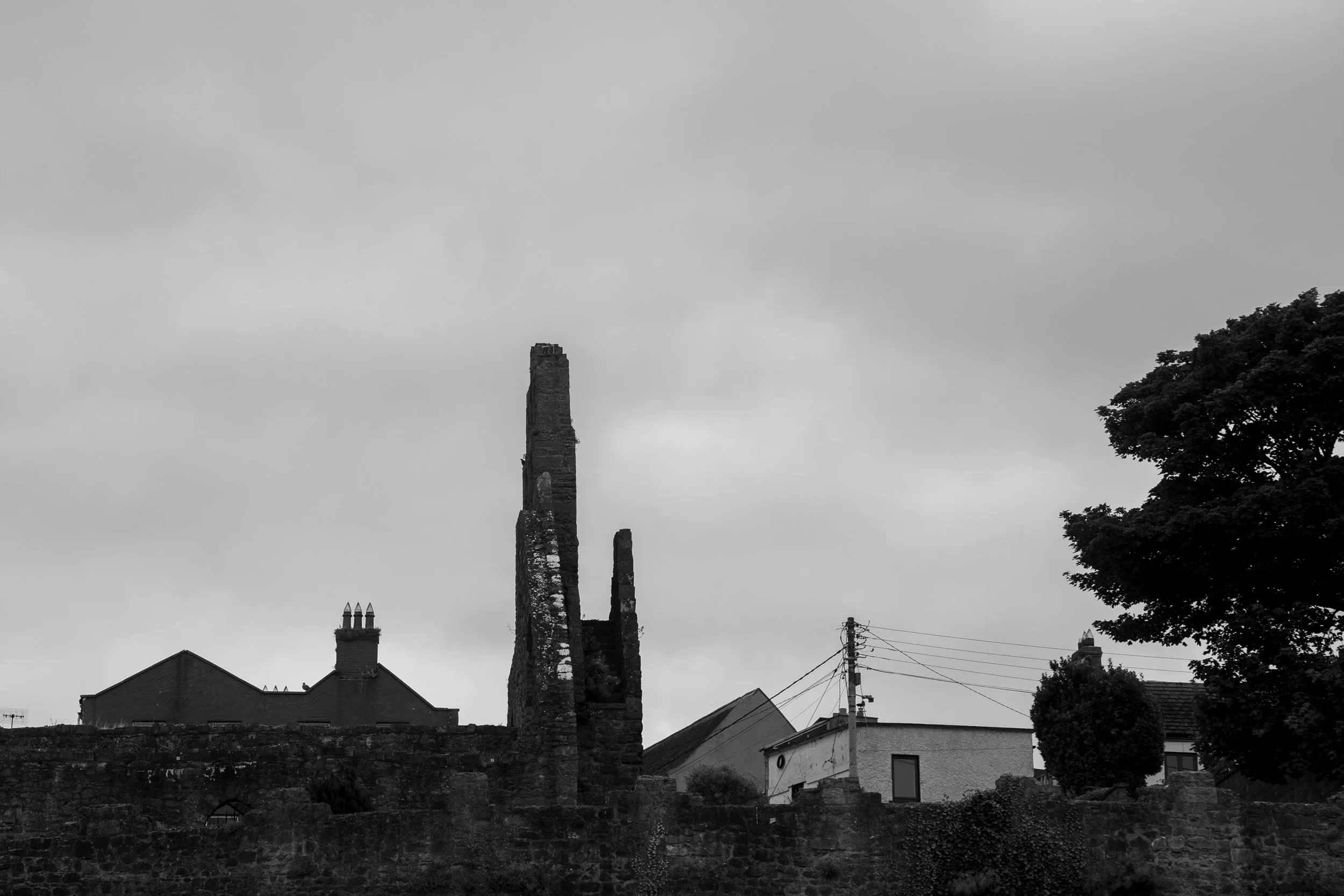 DSC07386.jpg
