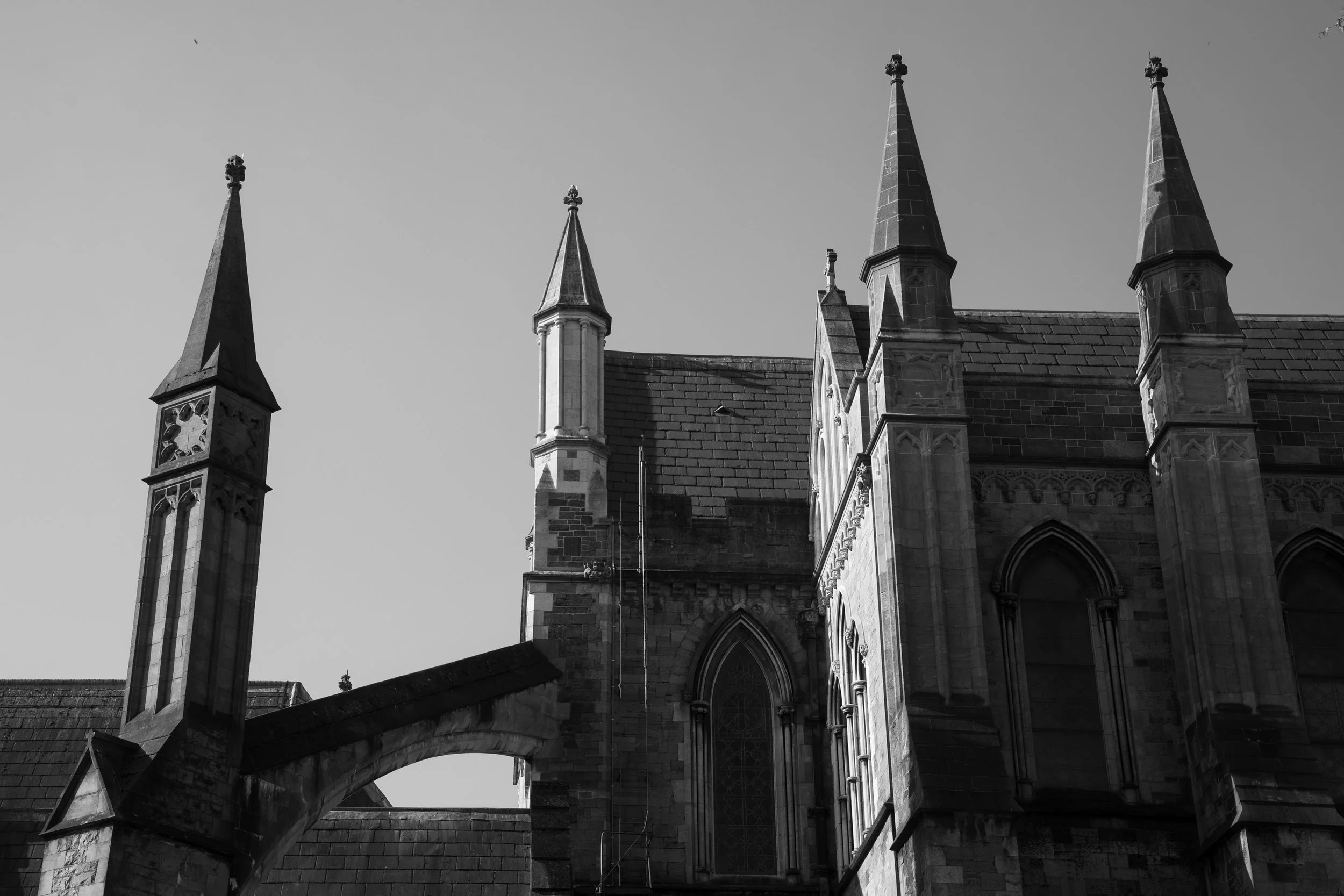 DSC07294.jpg