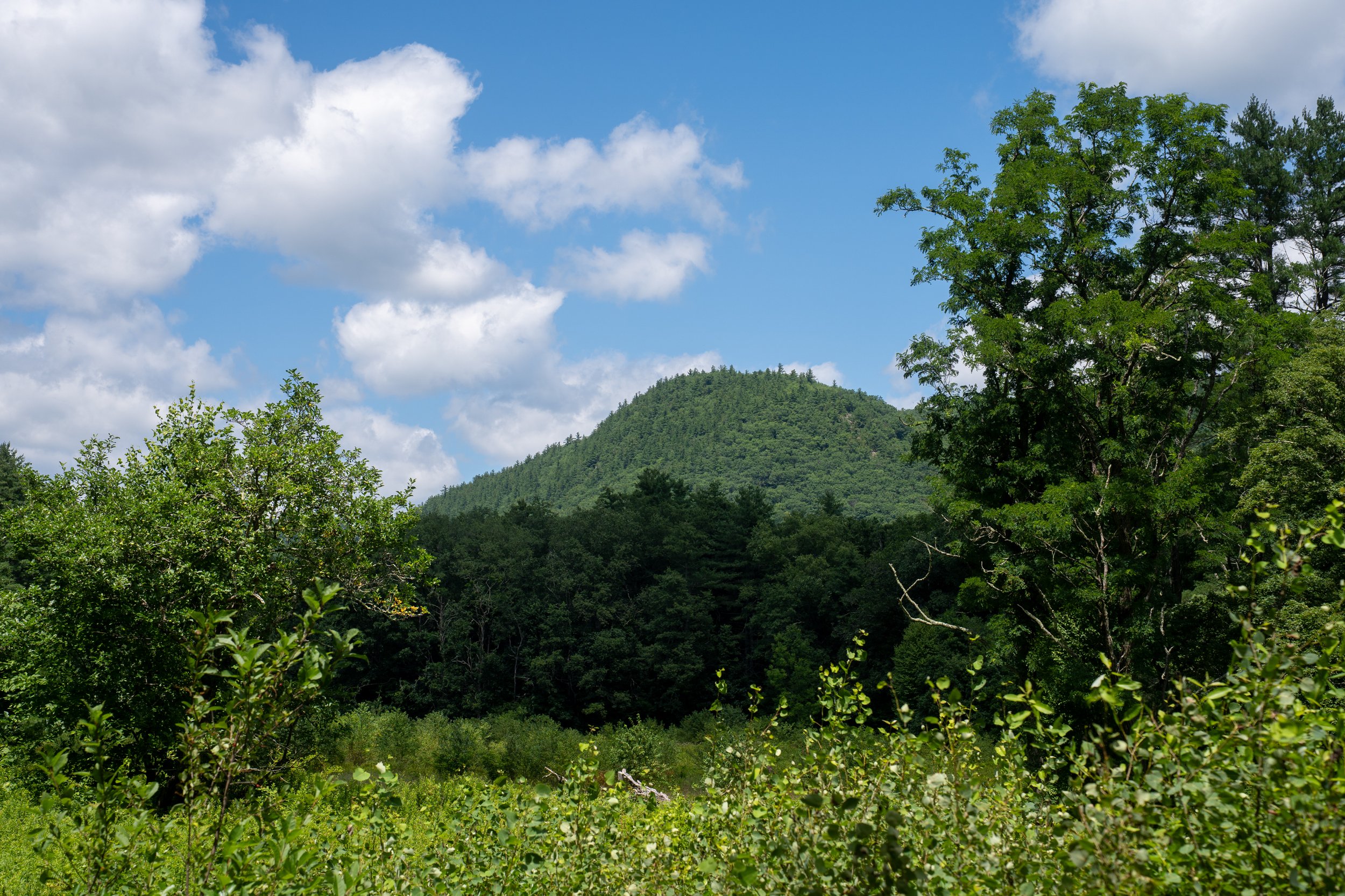 DSC07288.jpg