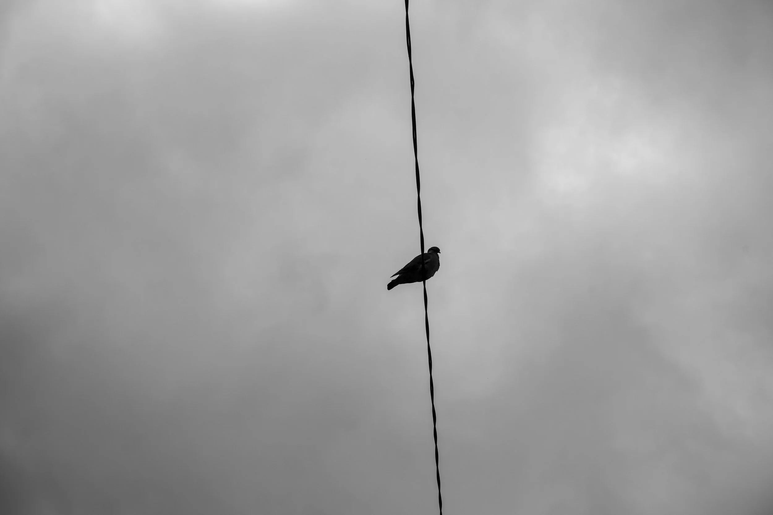 DSC07430.jpg