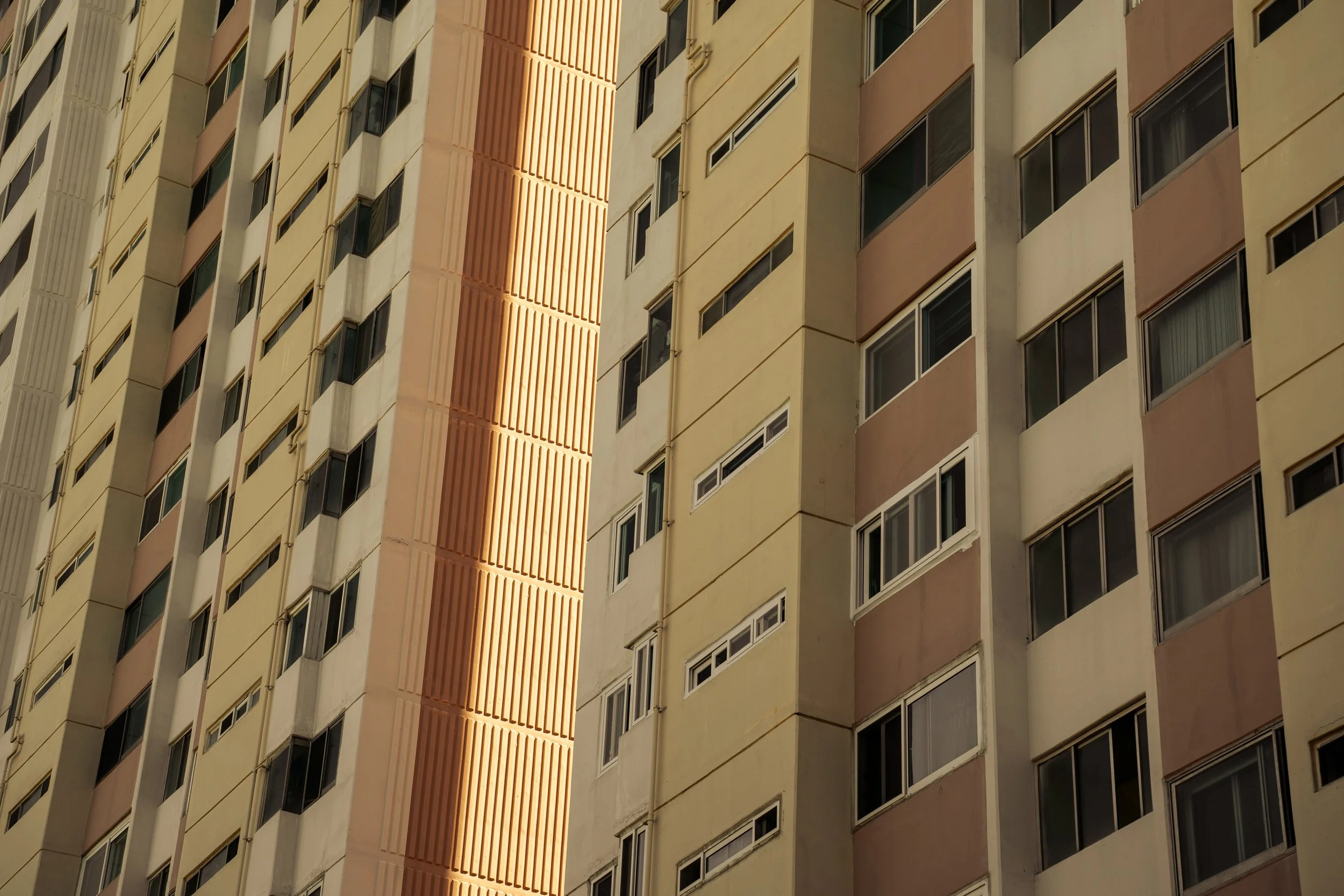 DSC02145-2.jpg