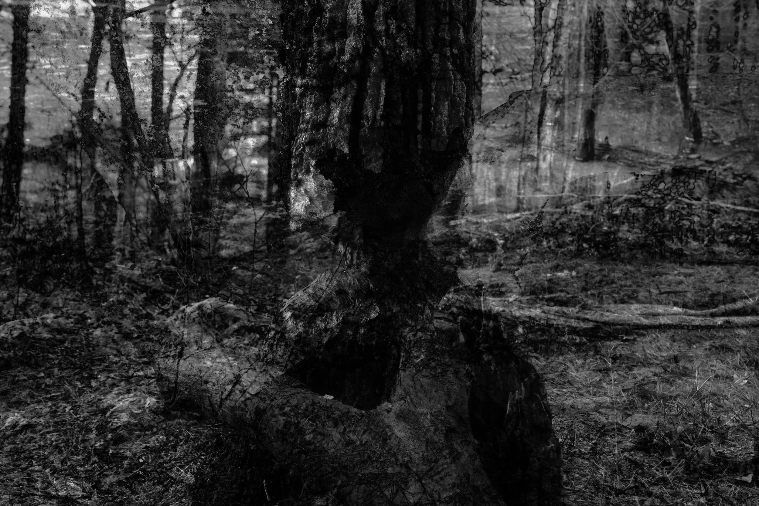 DSC05339-Edit copy.jpg