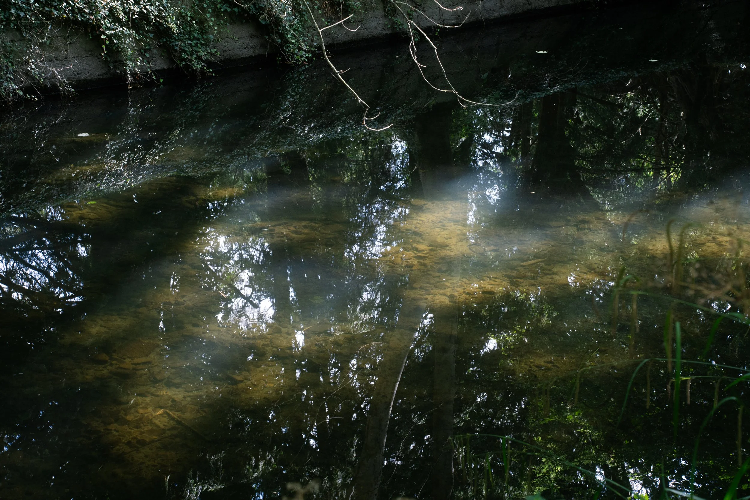 DSC07328.jpg