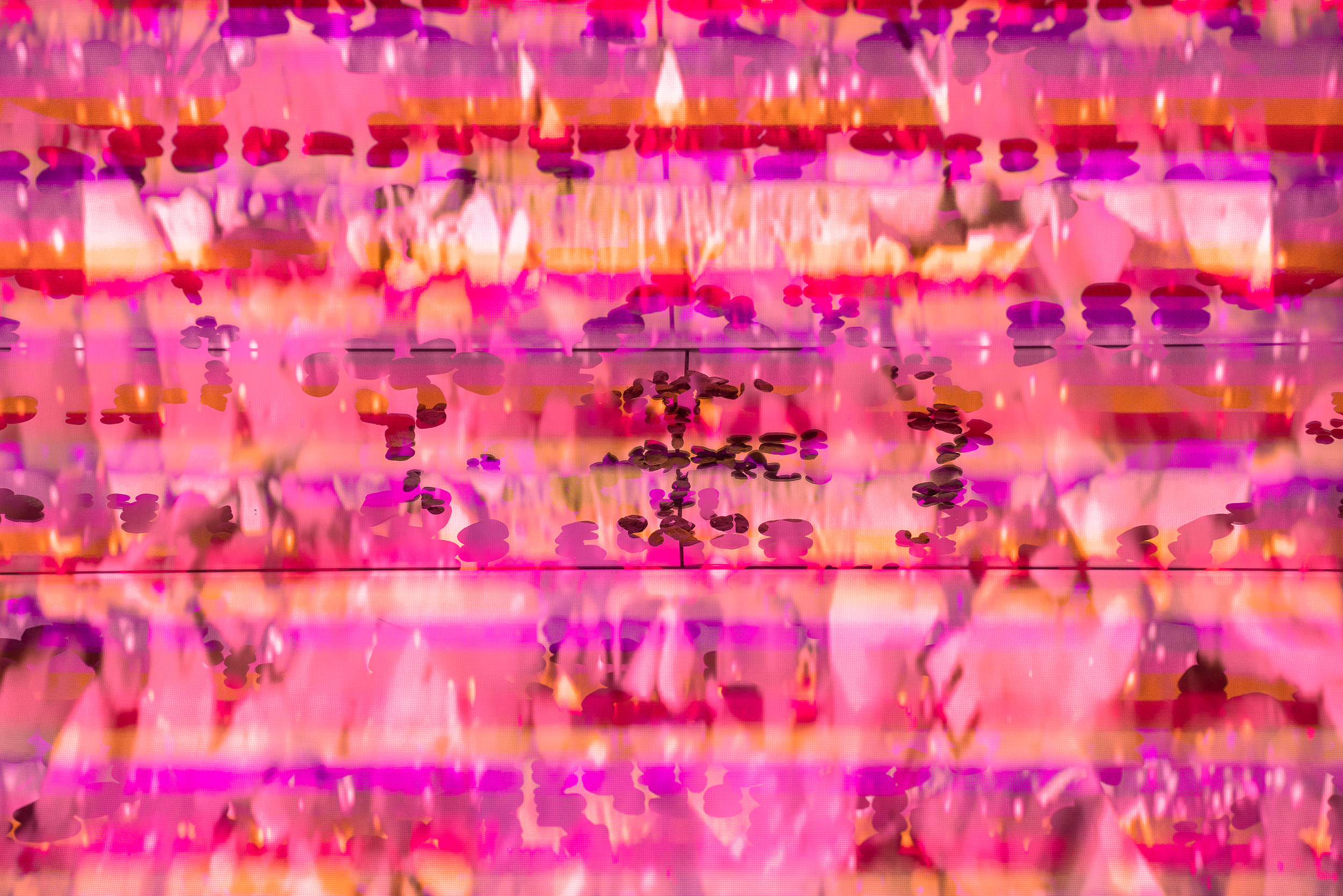 DSC07280.png
