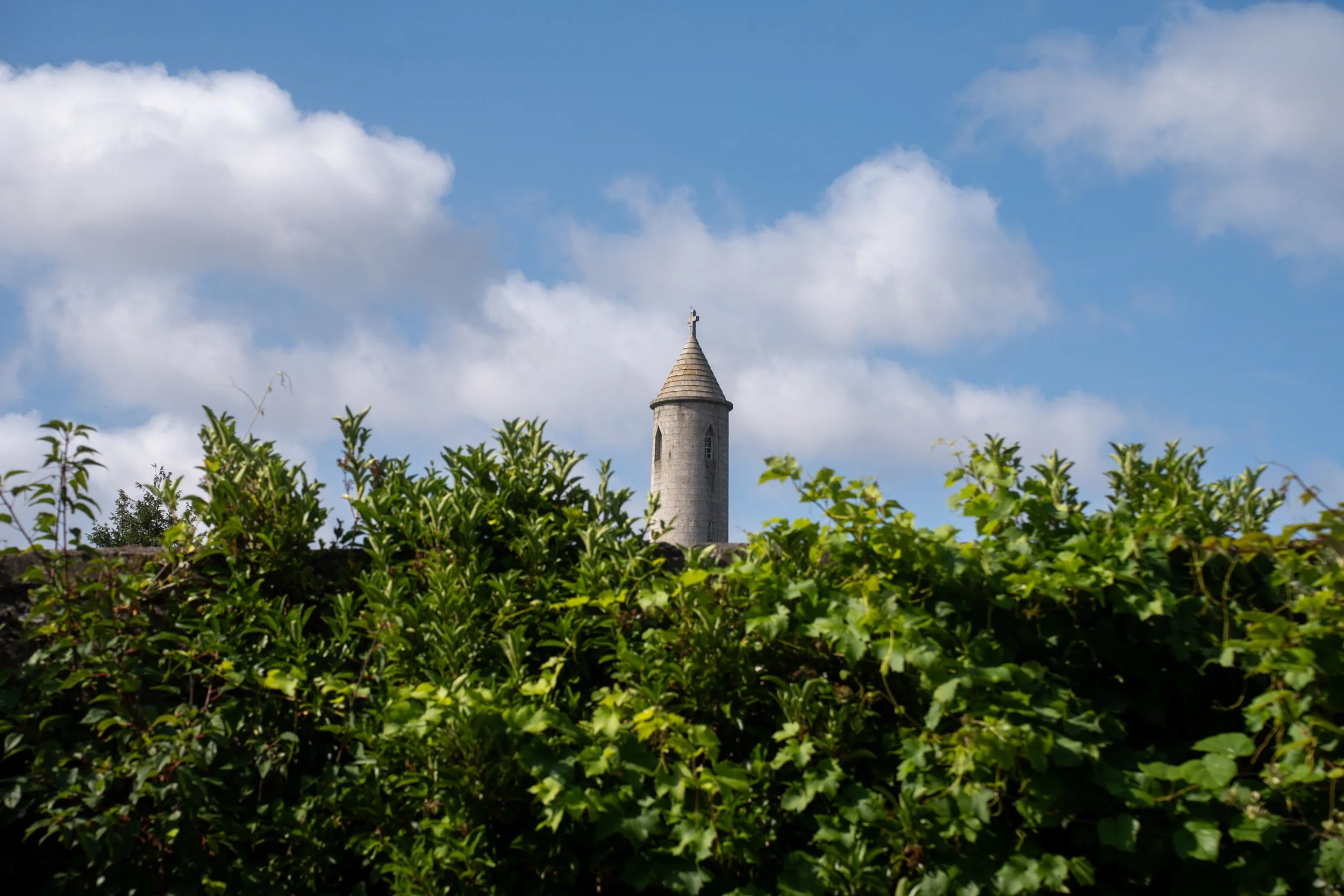 DSC07309.jpg