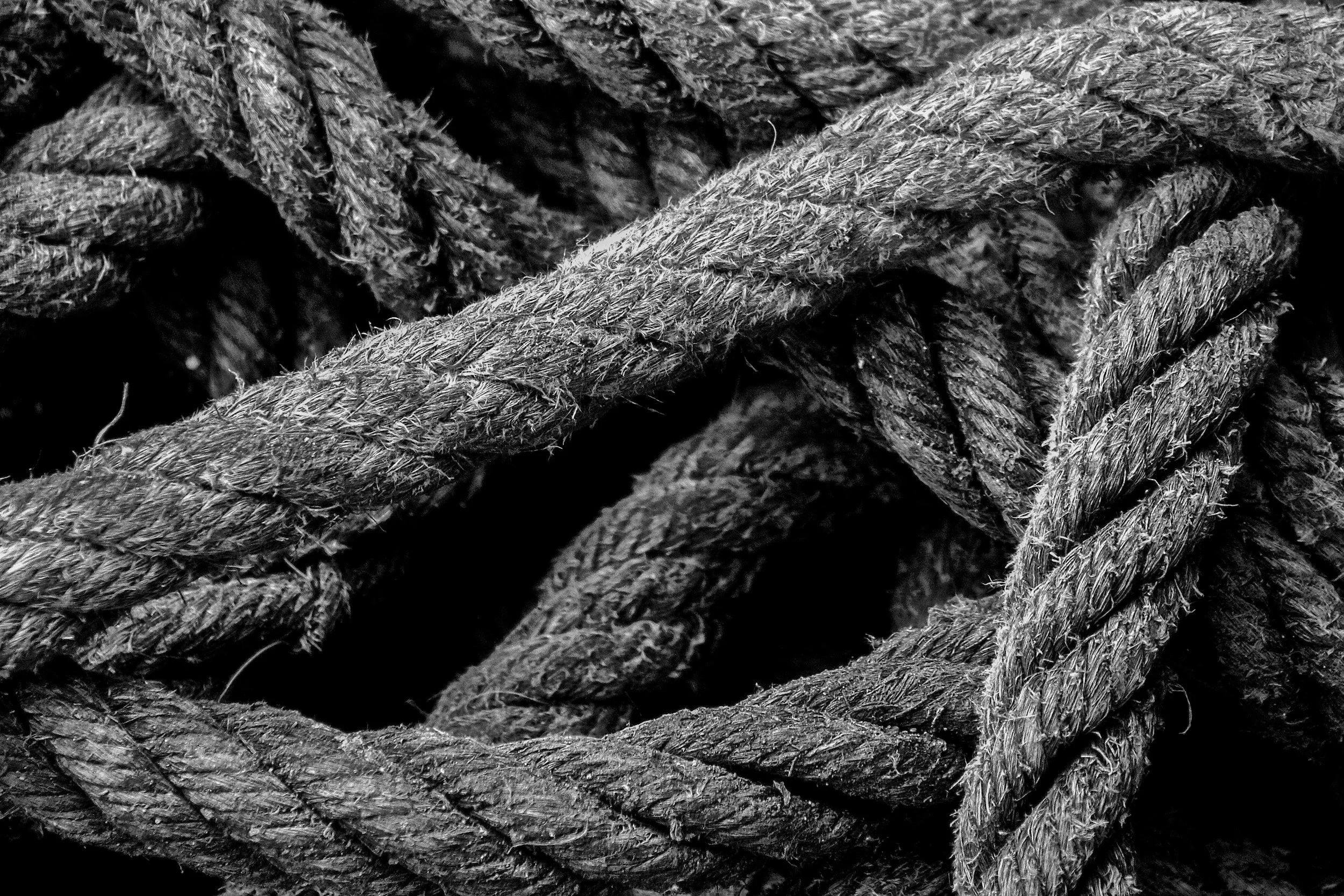 Close-up black and white photo of intertwined and frayed ropes.