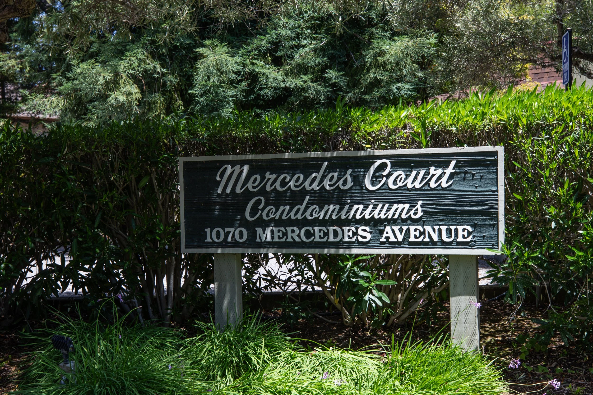 29-3-Mercedes_Matt_Anello-4169-MLS.jpg
